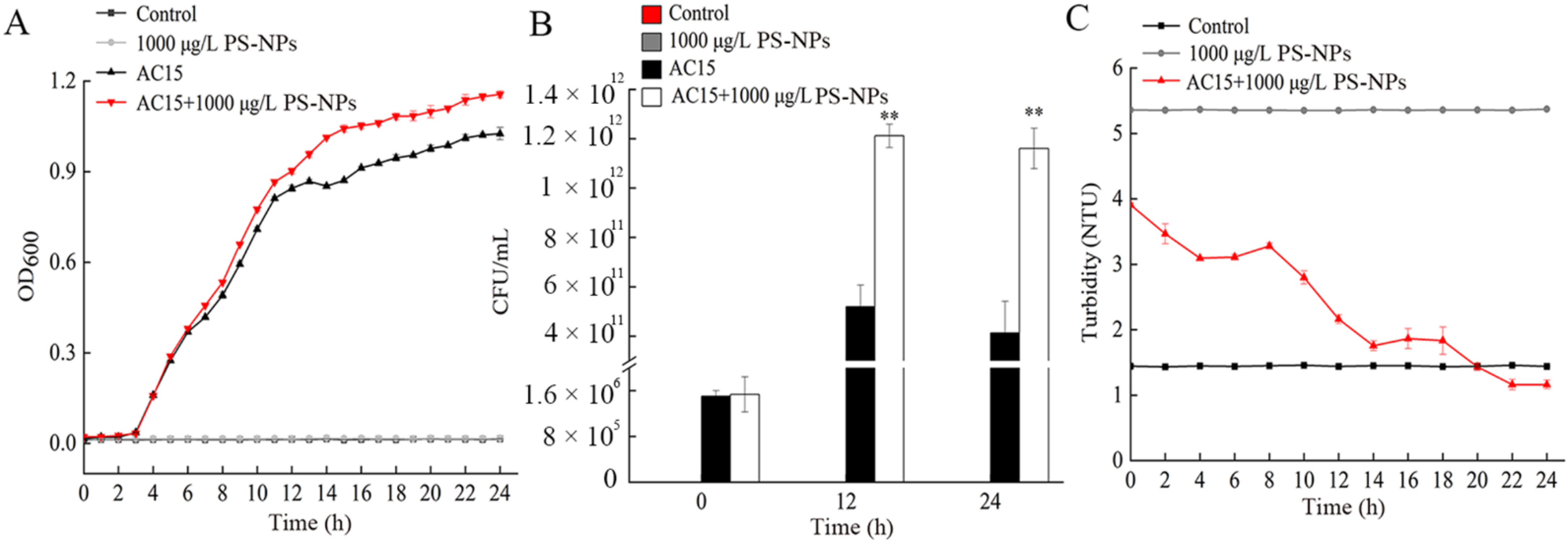 Nanomaterials 12 04222 g004 Nanomaterials 12 04222 g004