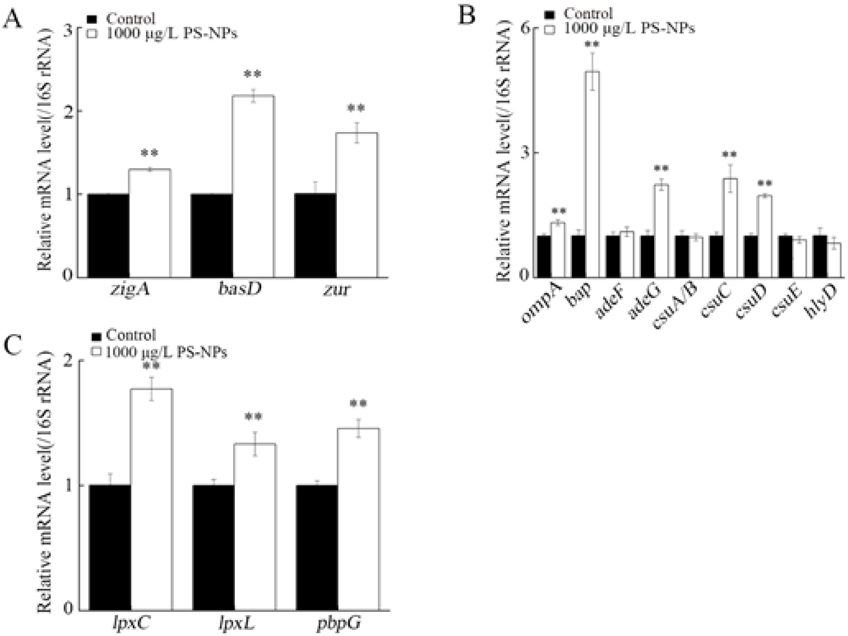 Nanomaterials 12 04222 g007 Nanomaterials 12 04222 g007
