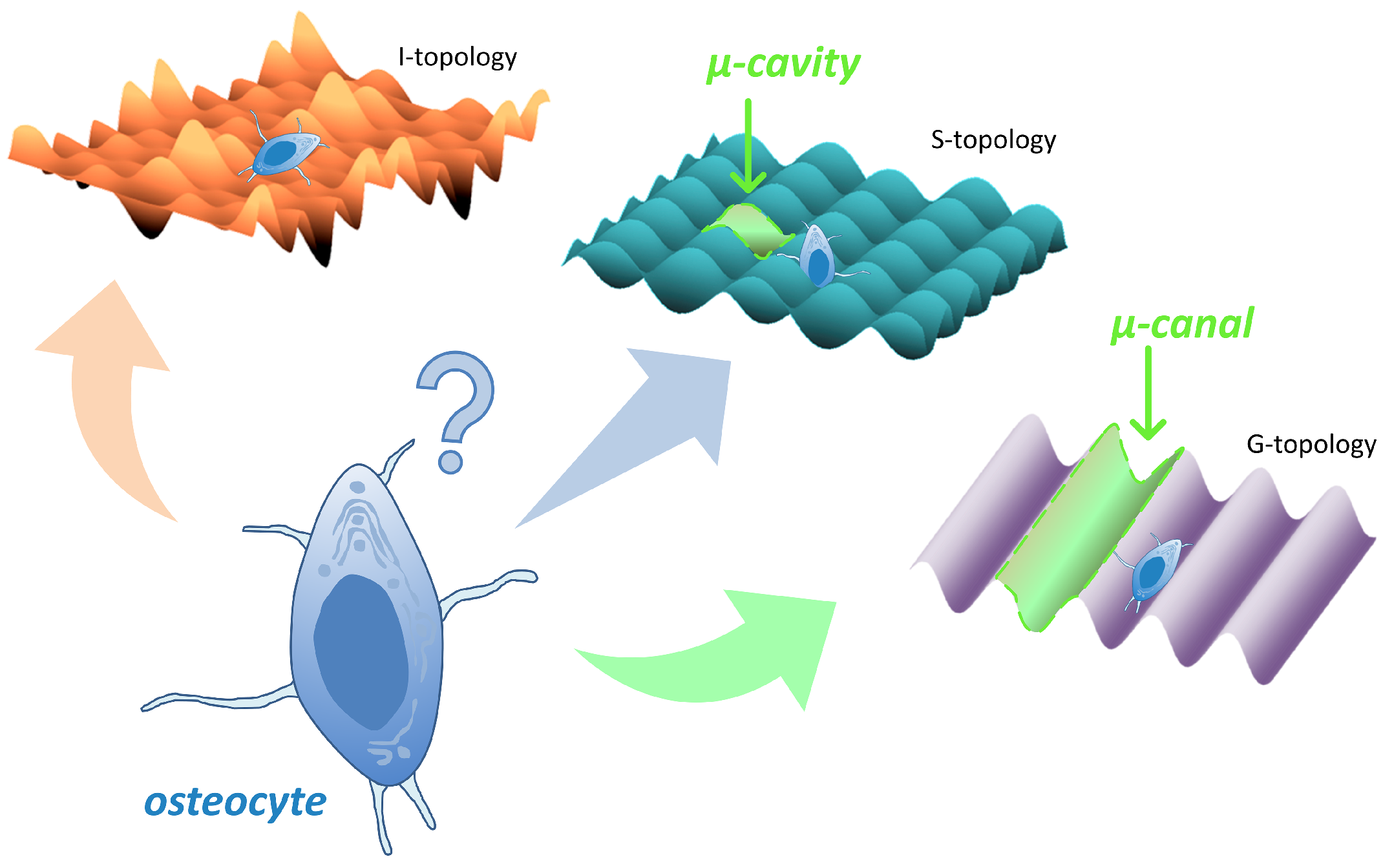 Nanomaterials 12 04229 g001
