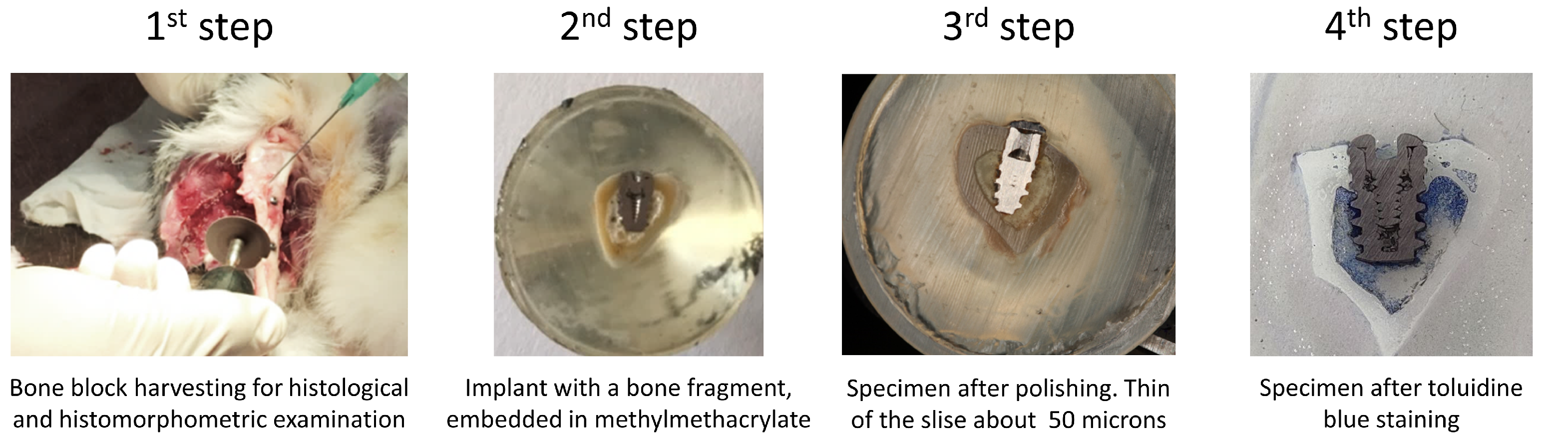 Nanomaterials 12 04229 g003
