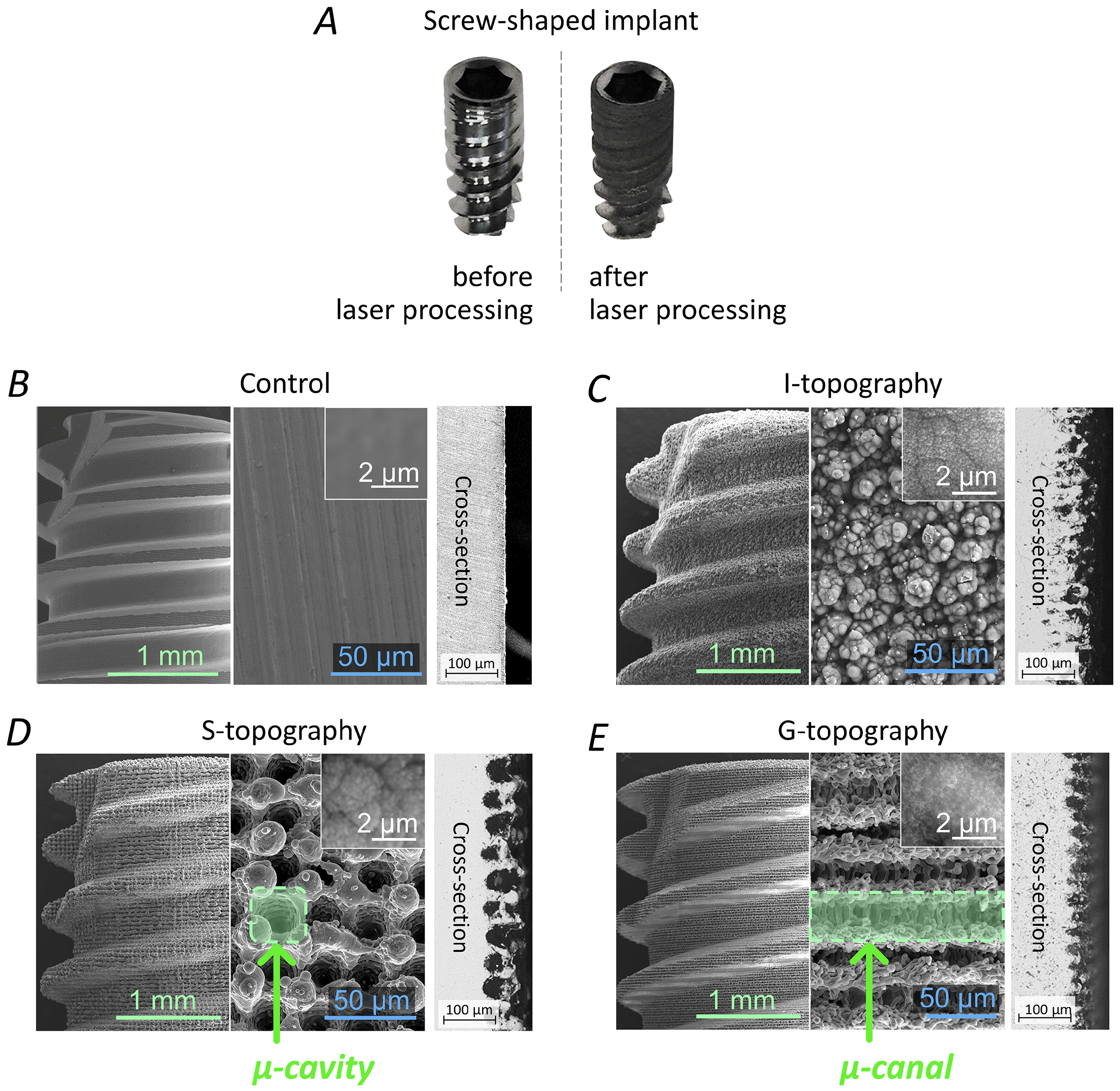 Nanomaterials 12 04229 g004