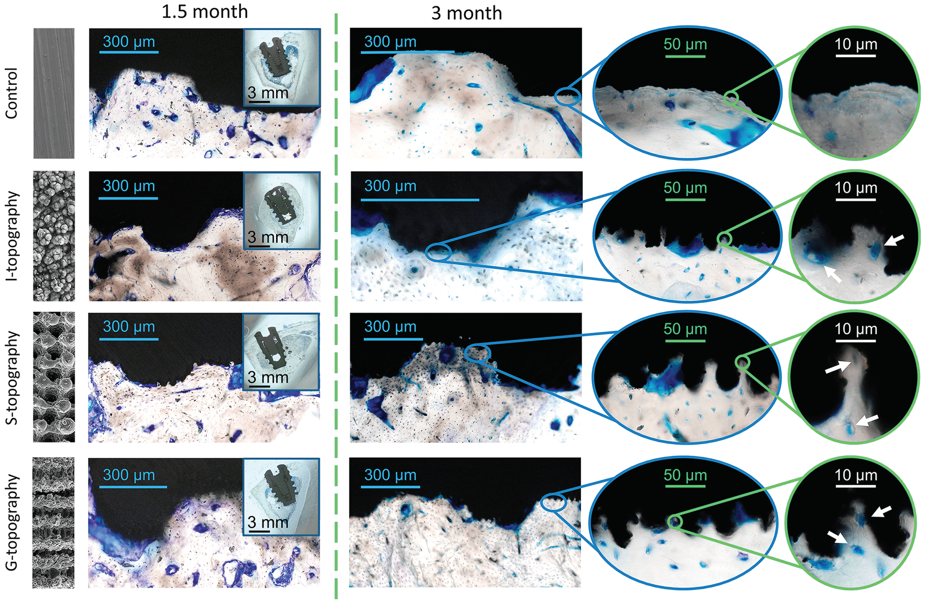 Nanomaterials 12 04229 g005