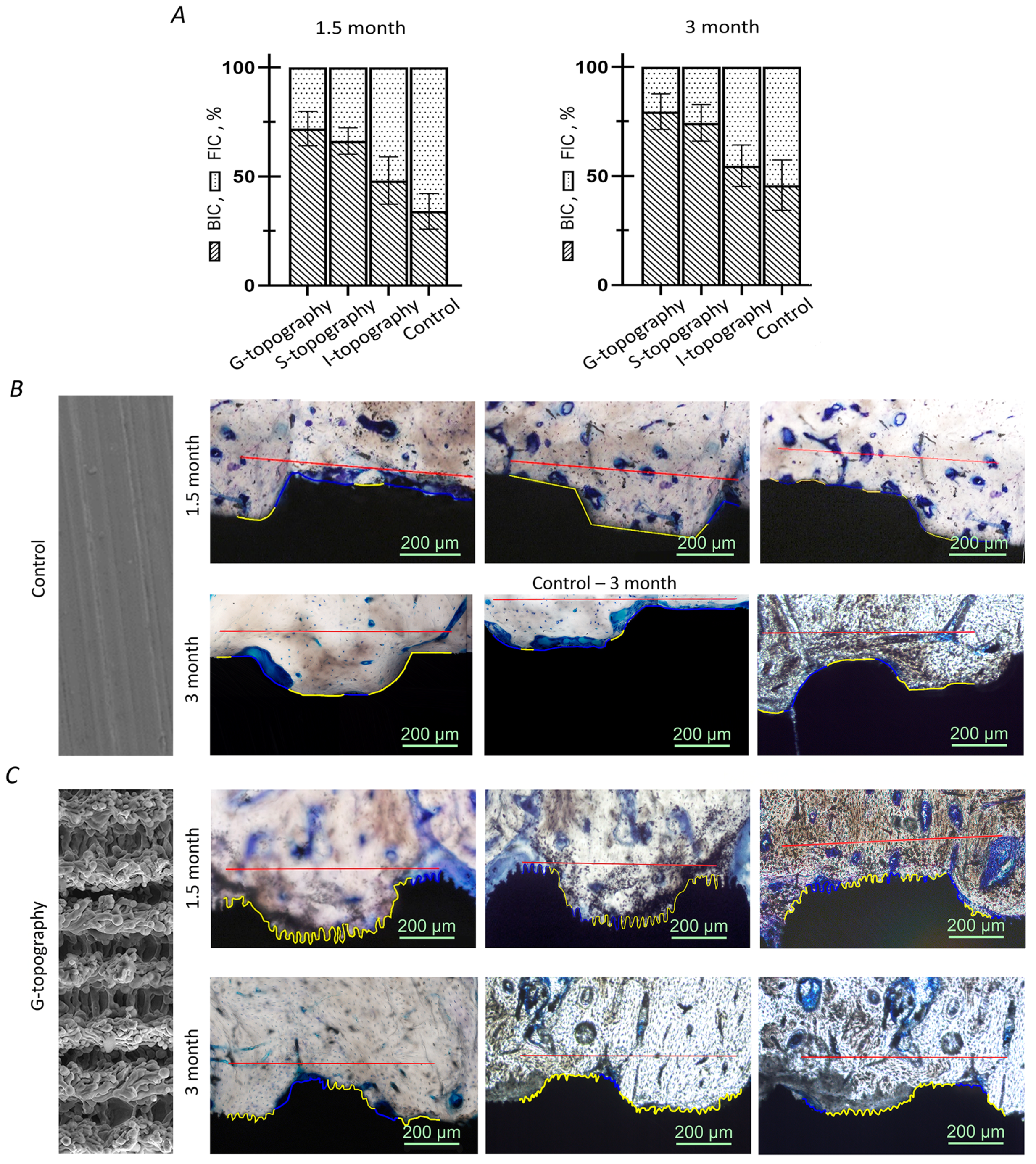 Nanomaterials 12 04229 g006