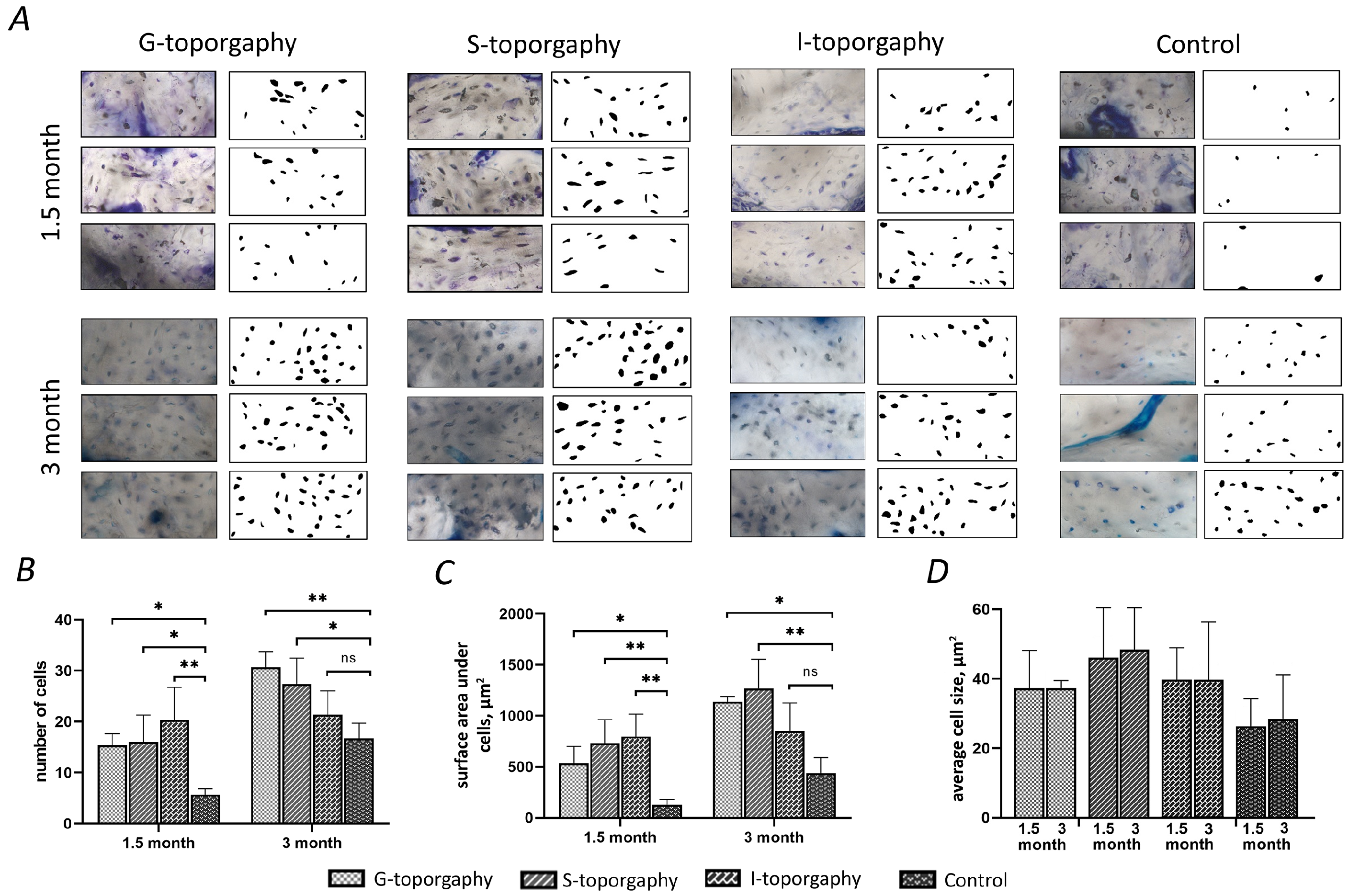 Nanomaterials 12 04229 g007