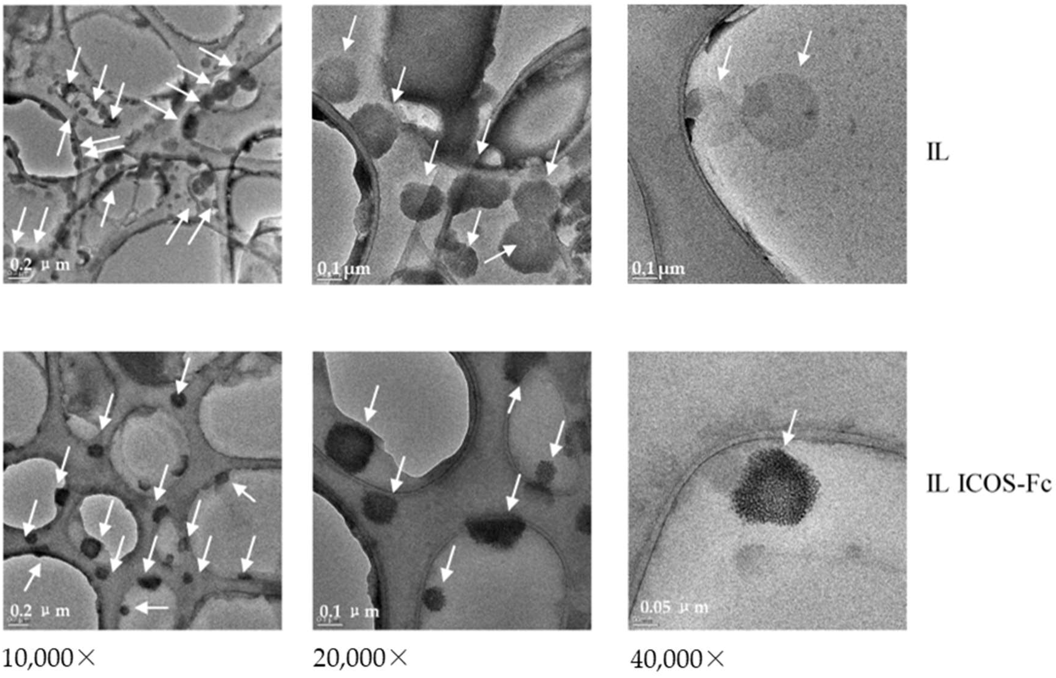 Nanomaterials 12 04233 g002