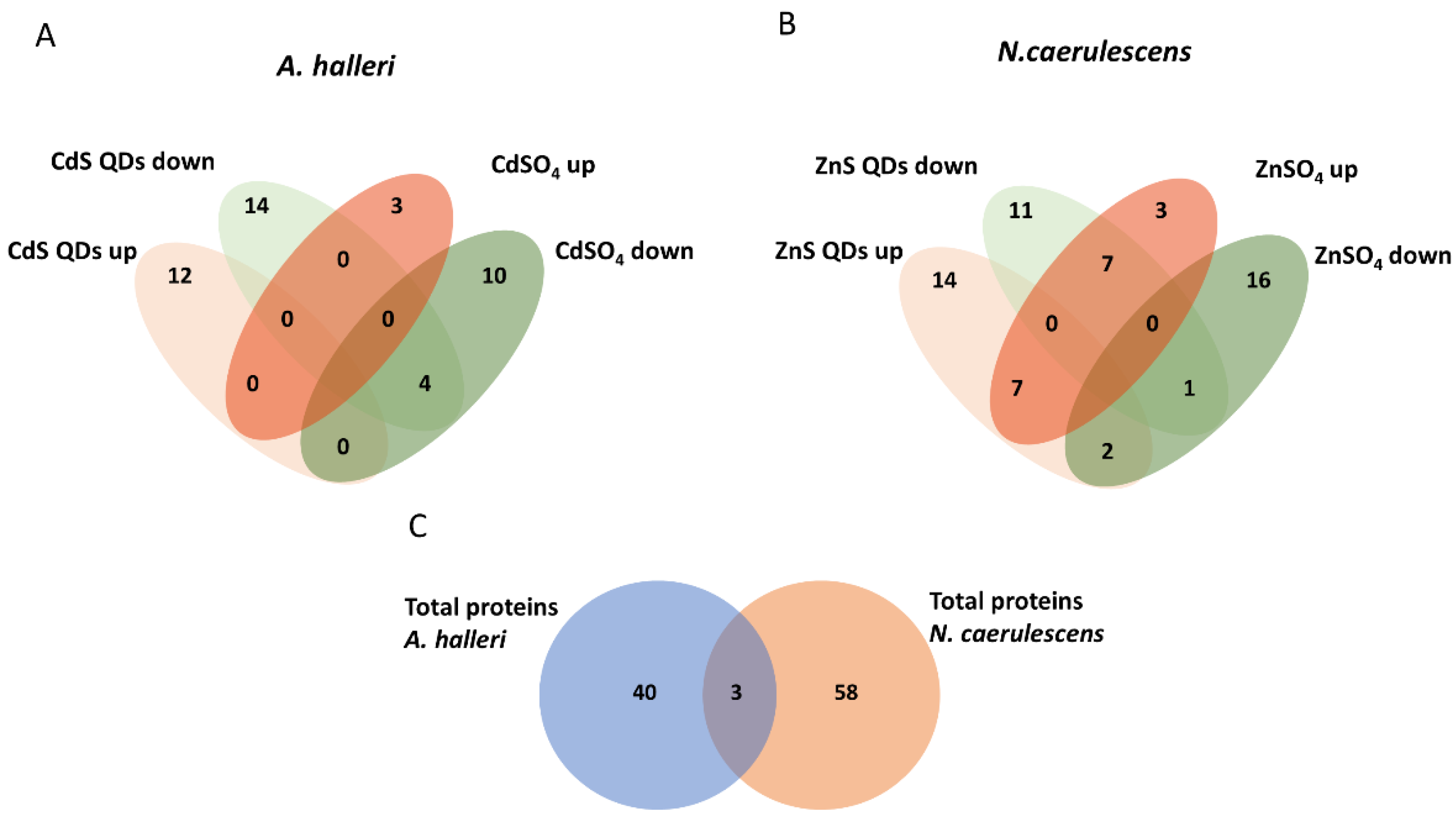 Nanomaterials 12 04236 g001 Nanomaterials 12 04236 g001