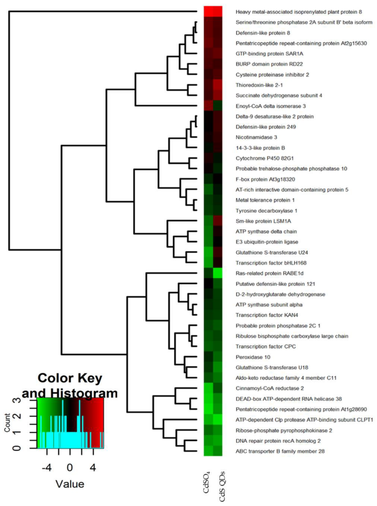 Nanomaterials 12 04236 g002 Nanomaterials 12 04236 g002