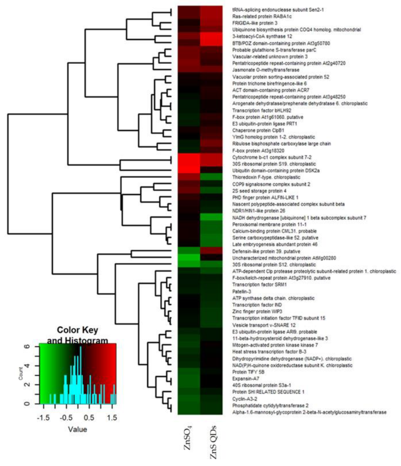 Nanomaterials 12 04236 g003 Nanomaterials 12 04236 g003