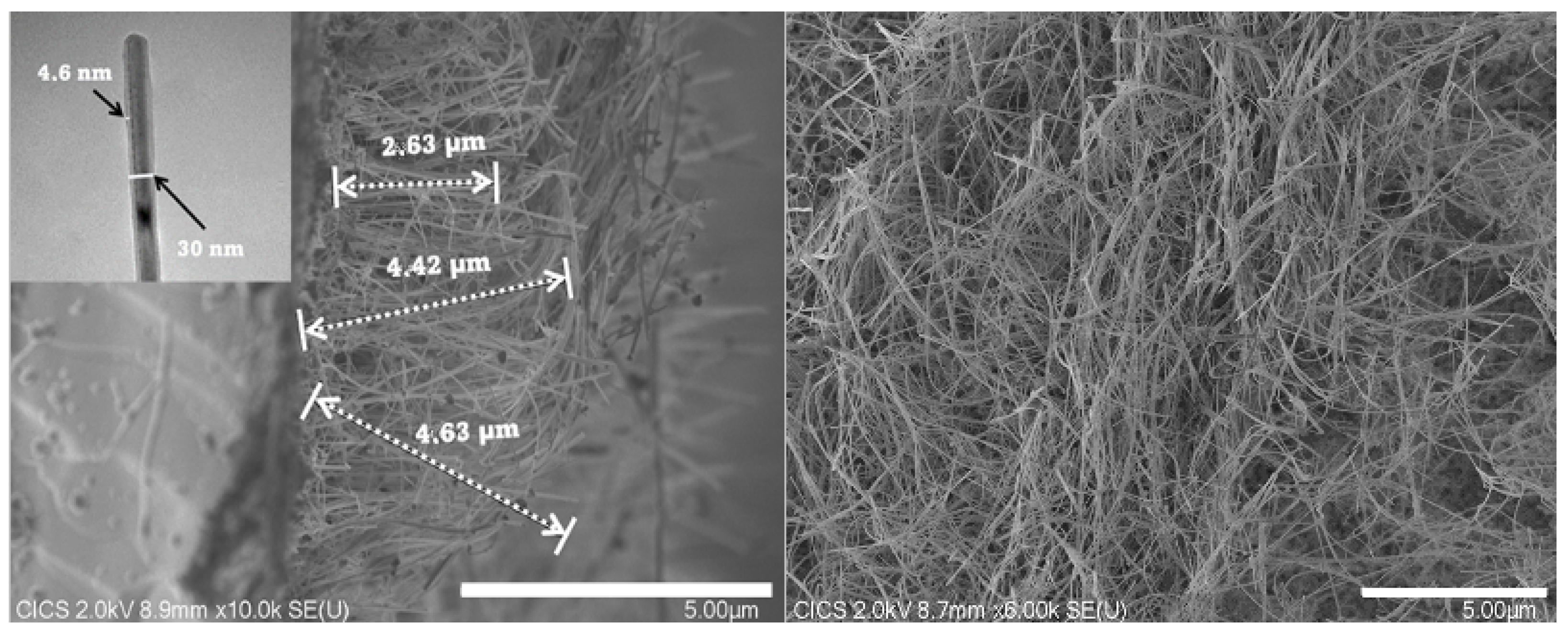 Nanomaterials 12 04237 g005