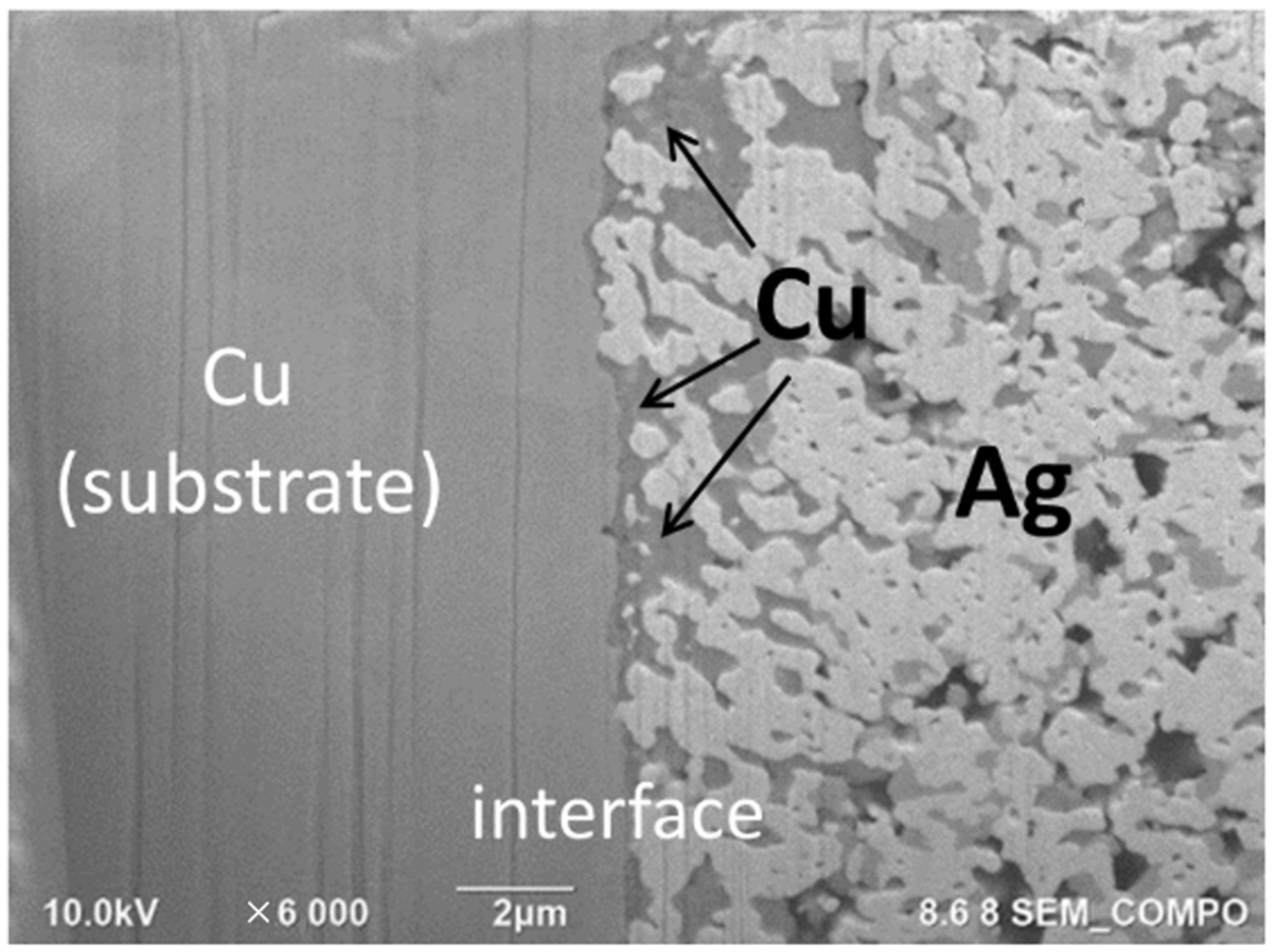 Nanomaterials 12 04241 g010