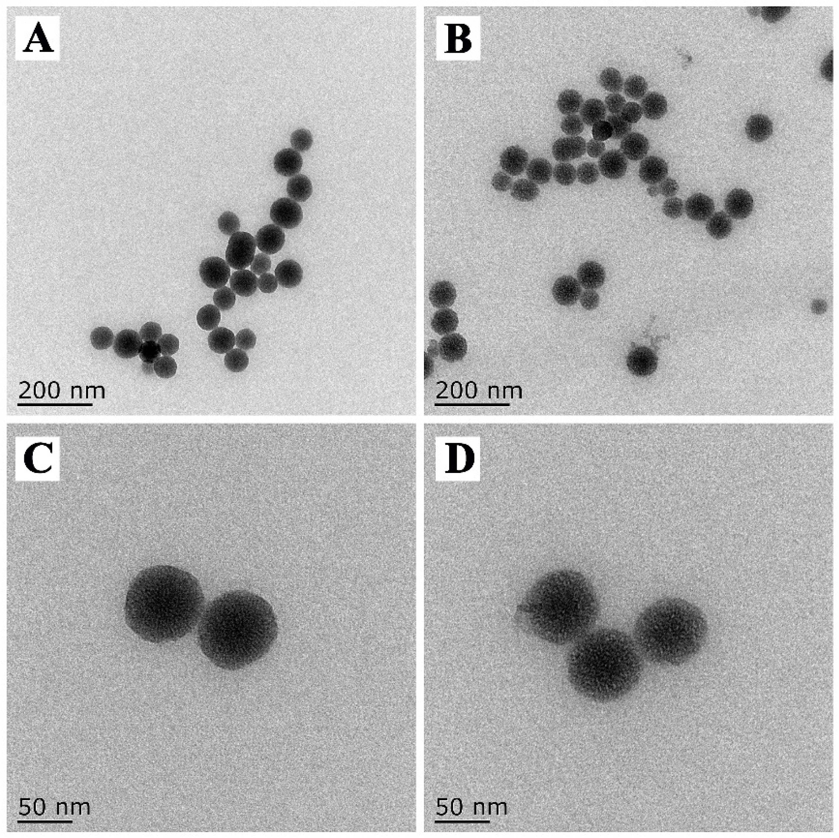 Nanomaterials 12 04249 g003
