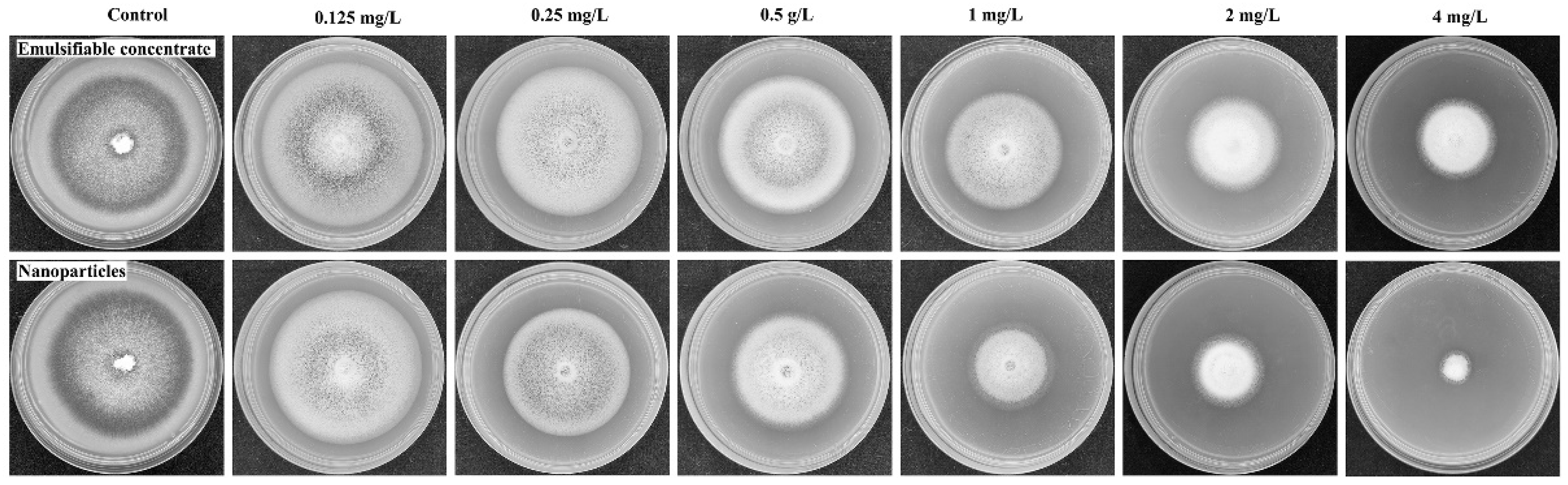 Nanomaterials 12 04249 g009