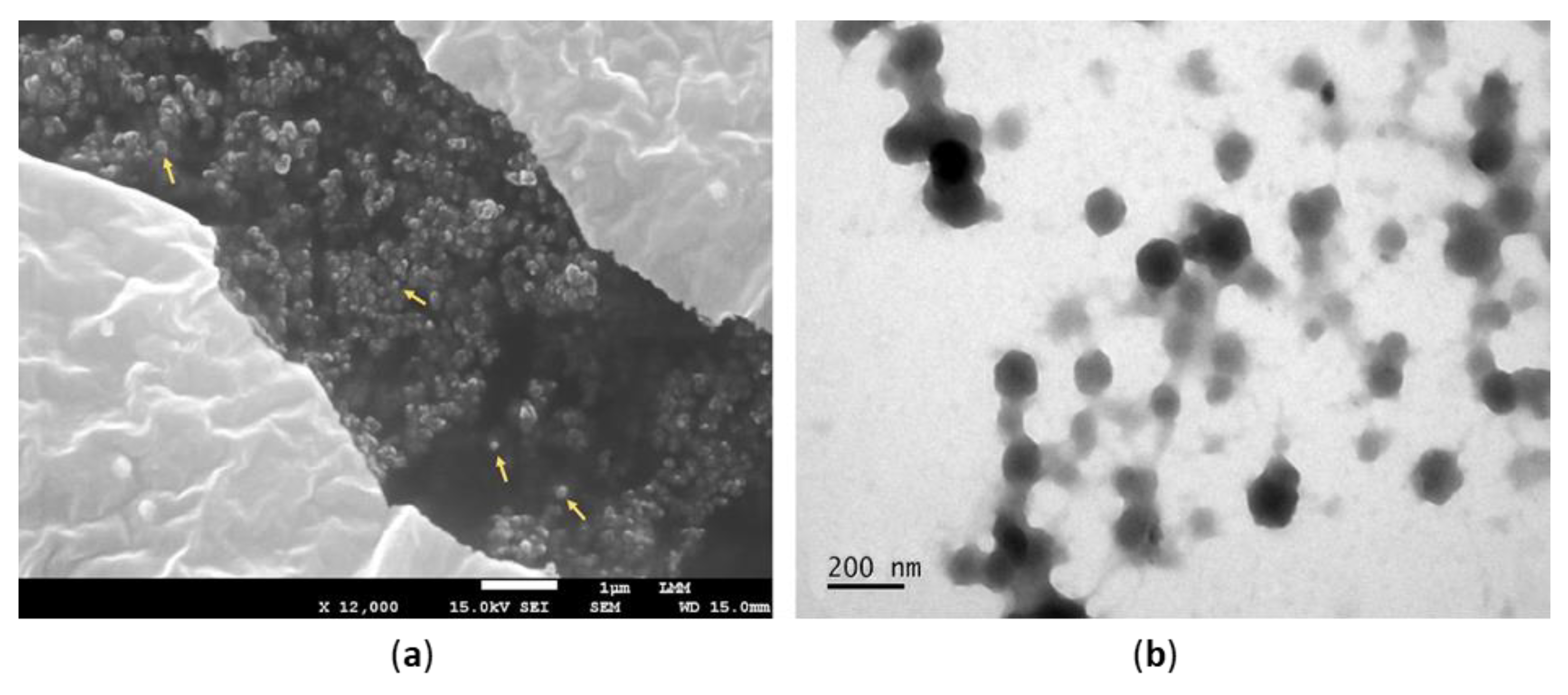 Nanomaterials 12 04260 g002 Nanomaterials 12 04260 g002