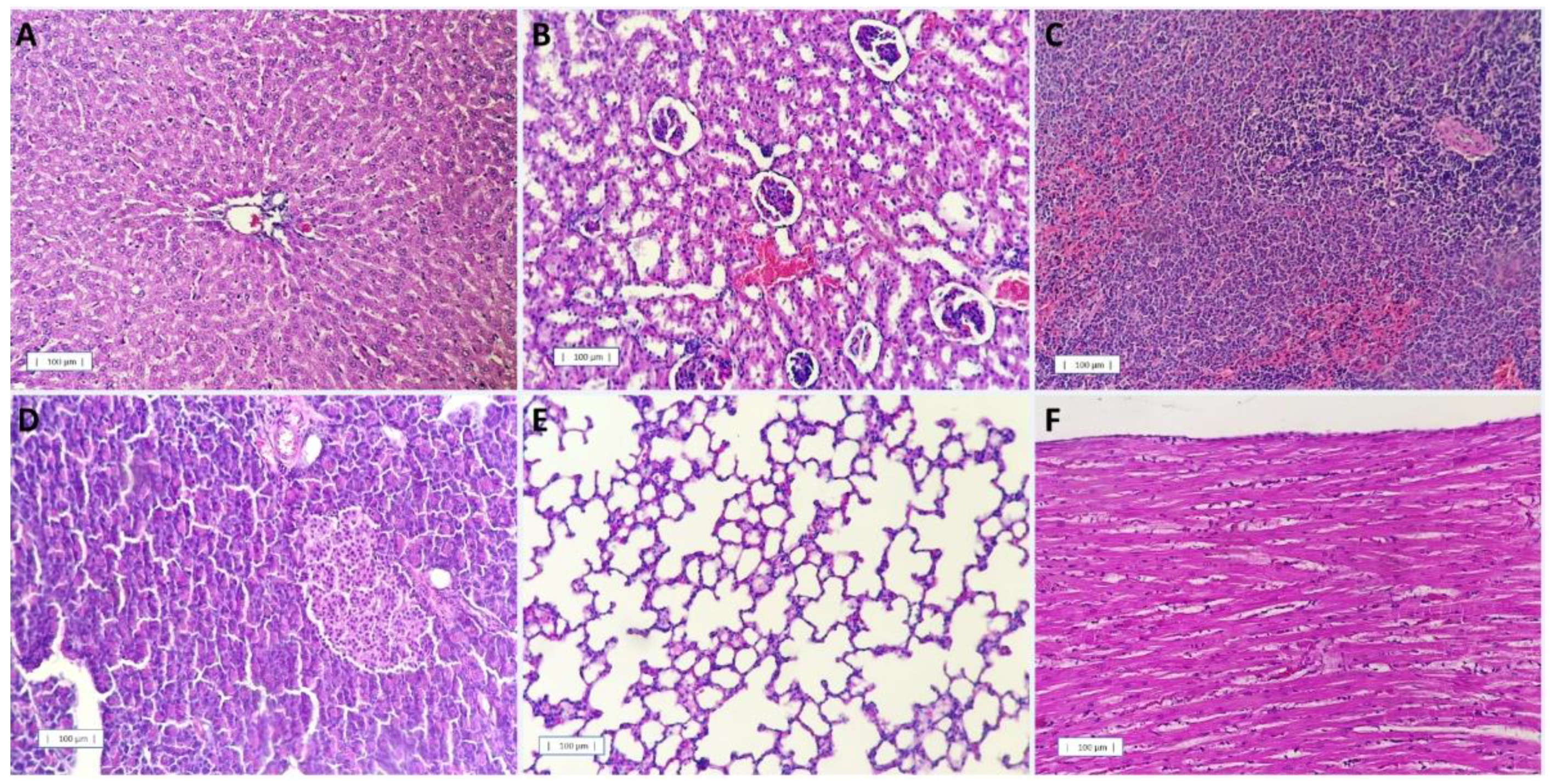 Nanomaterials 12 04260 g010 Nanomaterials 12 04260 g010