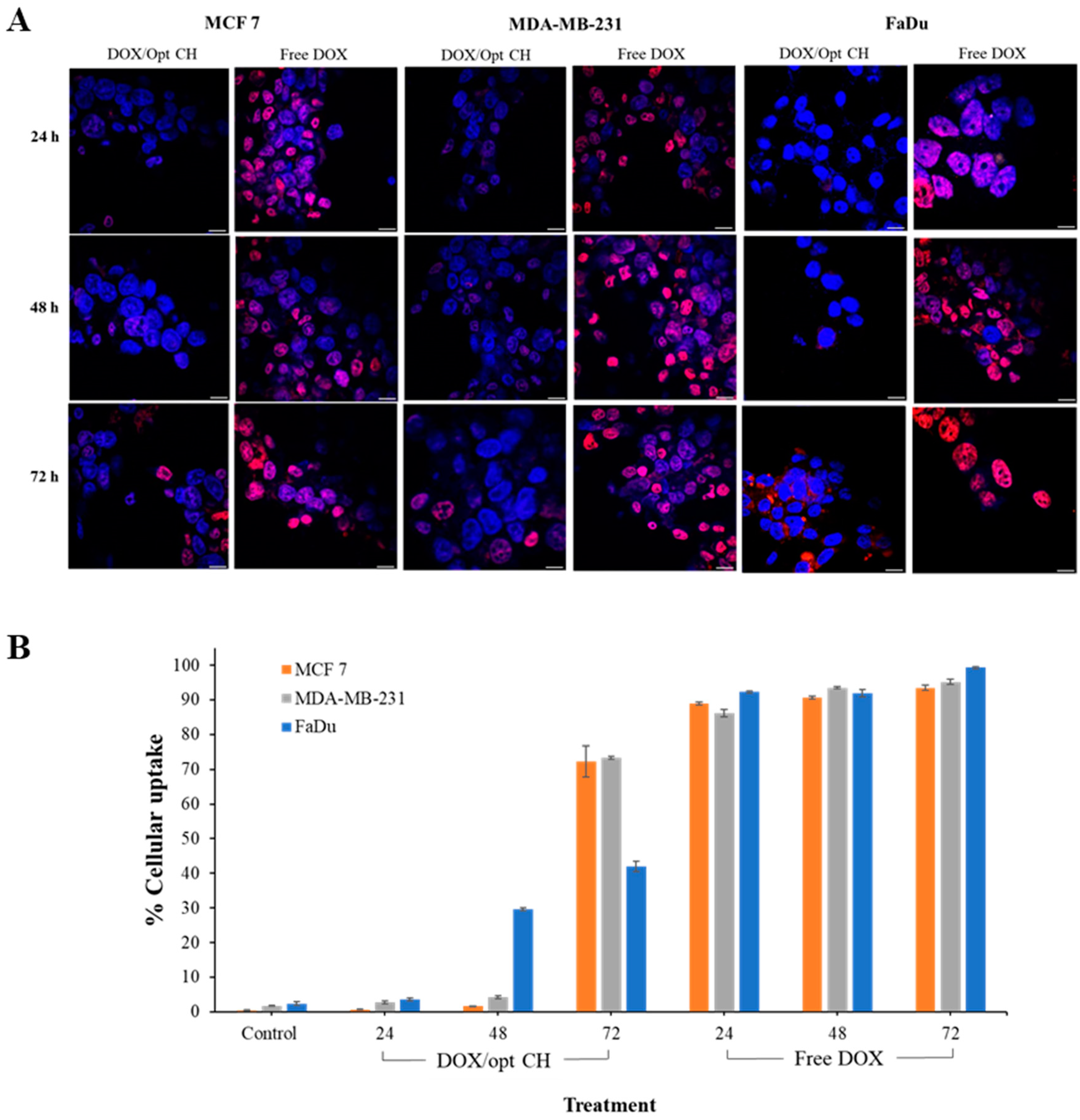 Nanomaterials 12 04261 g006
