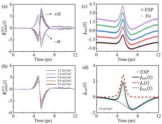 Terahertz Emission Spectroscopy of Ultrafast Coupled Spin