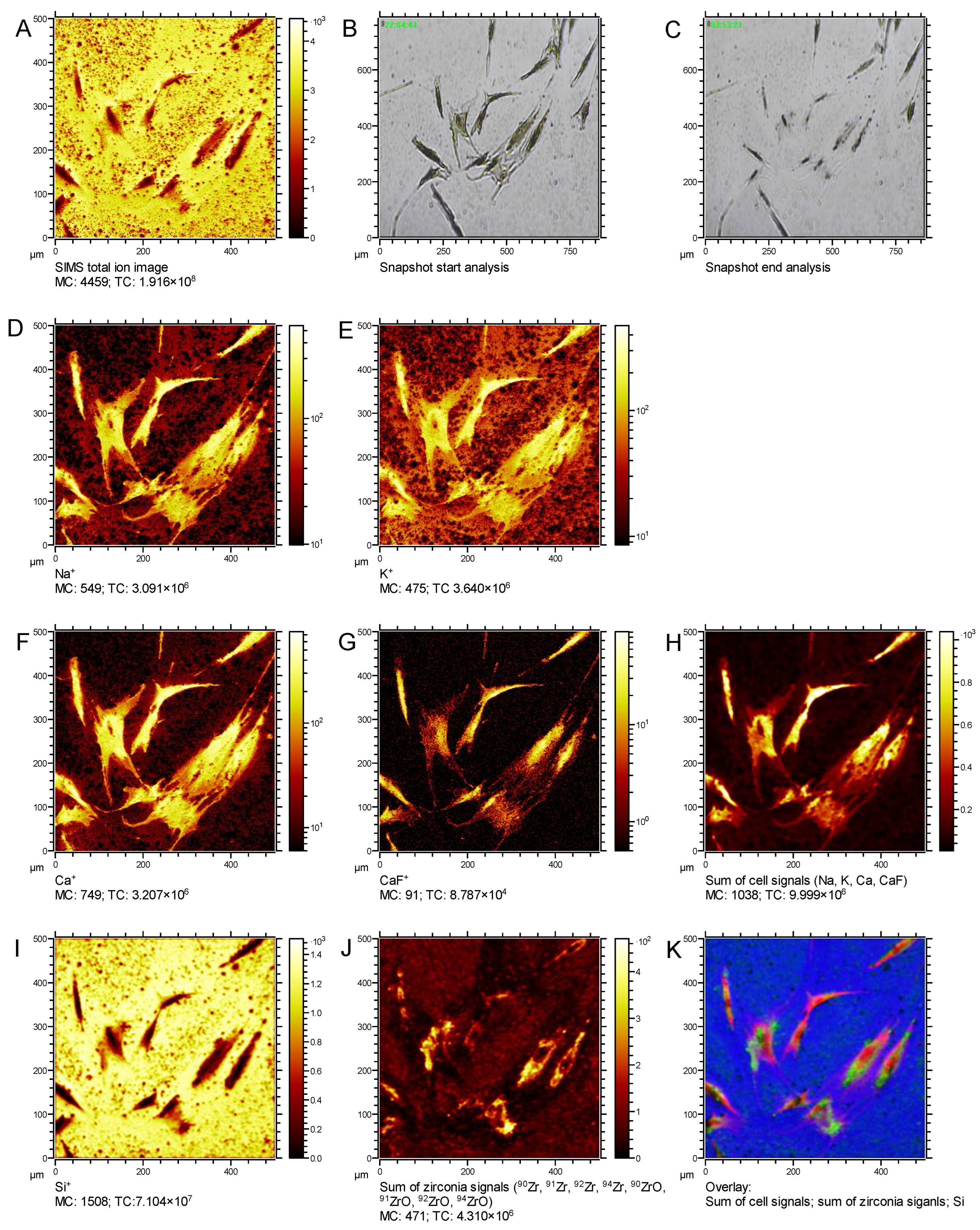 Nanomaterials 12 04272 g002 Nanomaterials 12 04272 g002