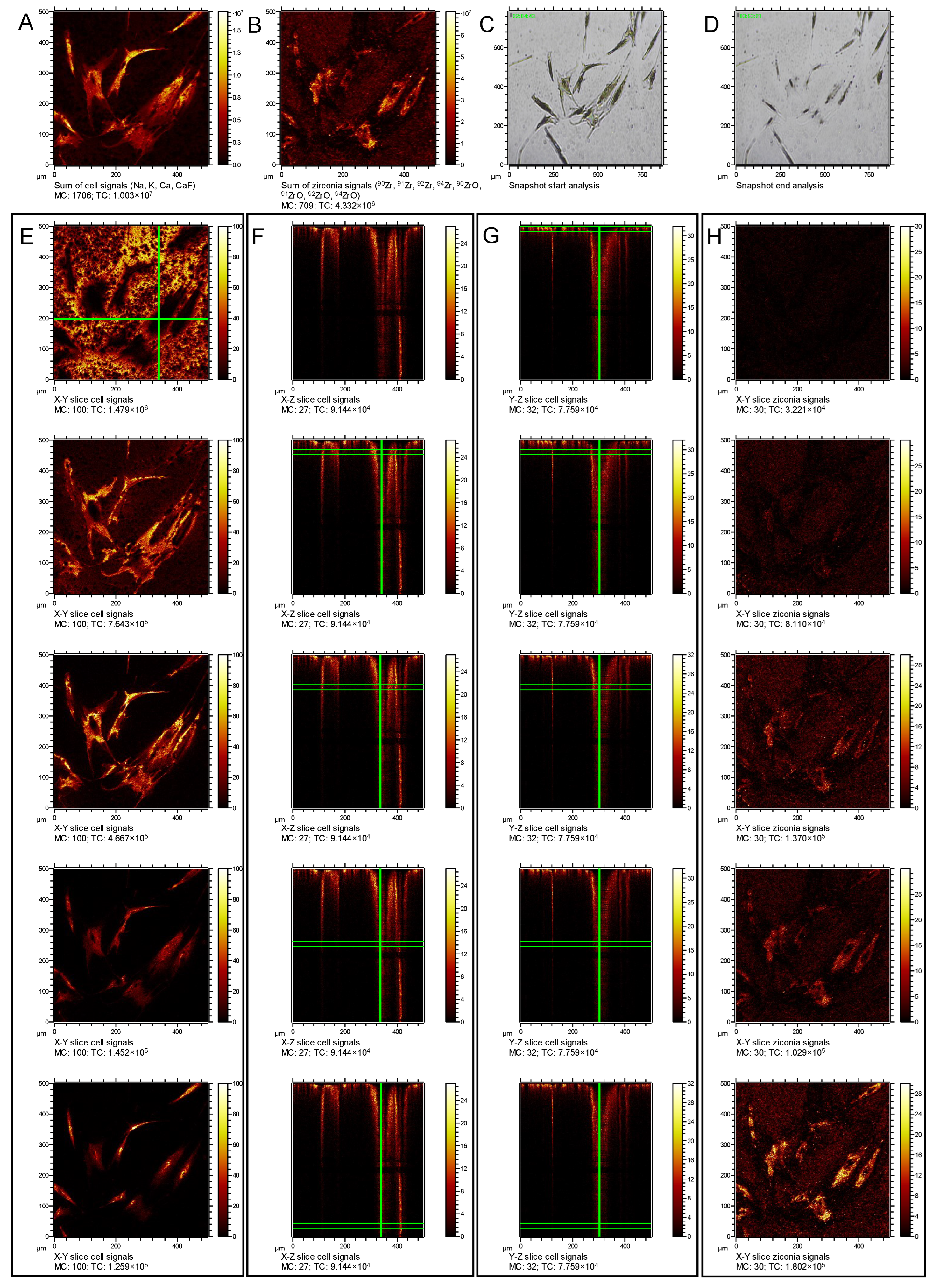 Nanomaterials 12 04272 g003 Nanomaterials 12 04272 g003