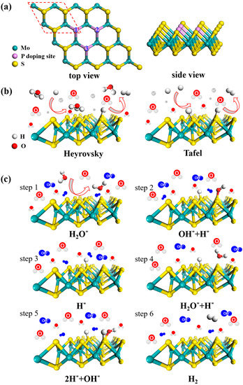 Orbital Modulation with P Doping Improves Acid and Alkaline