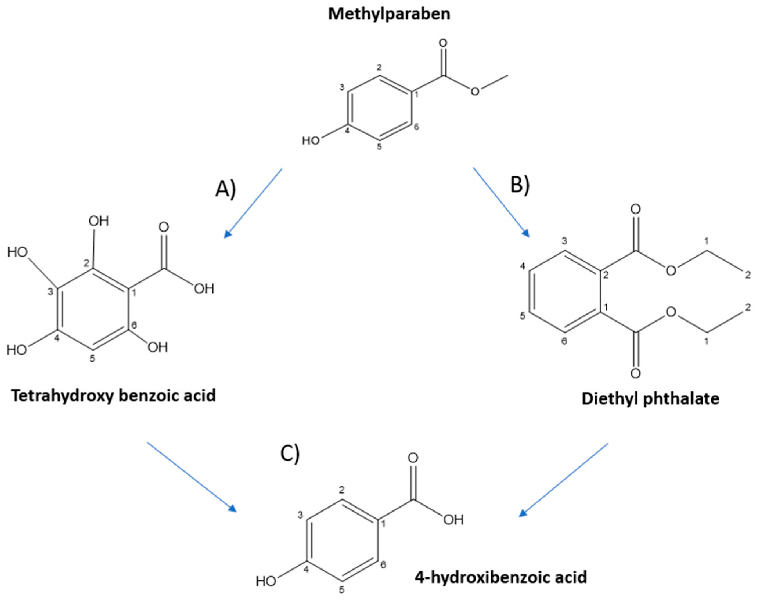 Nanomaterials 12 04286 g010 Nanomaterials 12 04286 g010