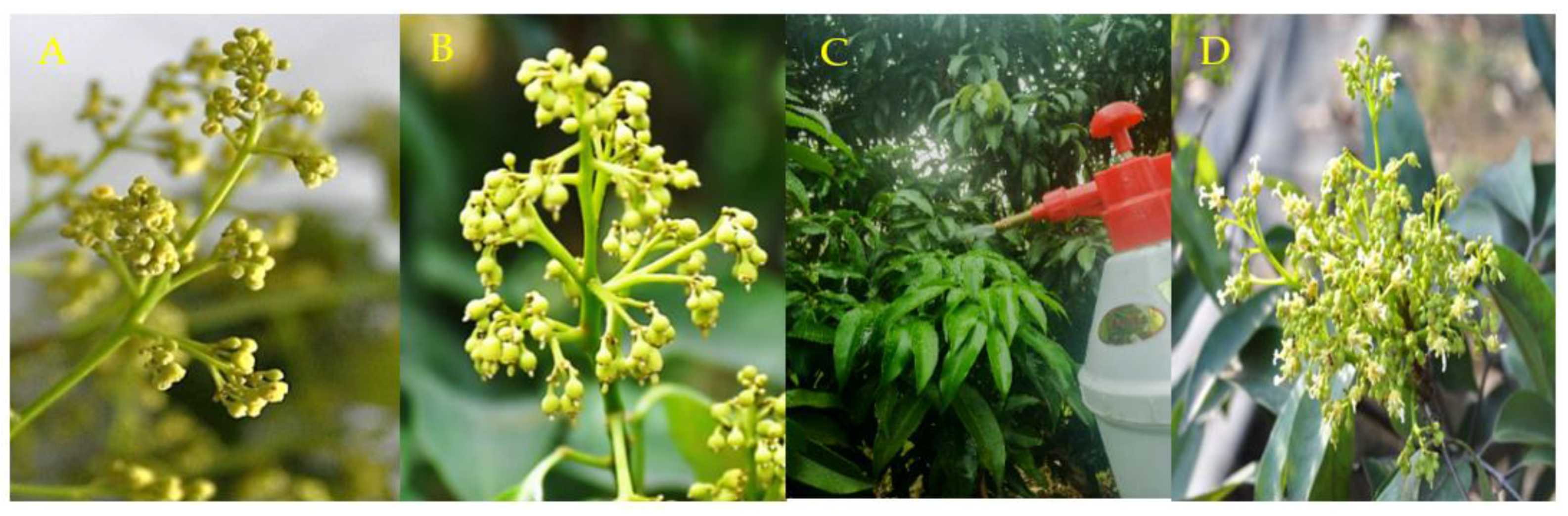 Nanomaterials 12 04287 g006