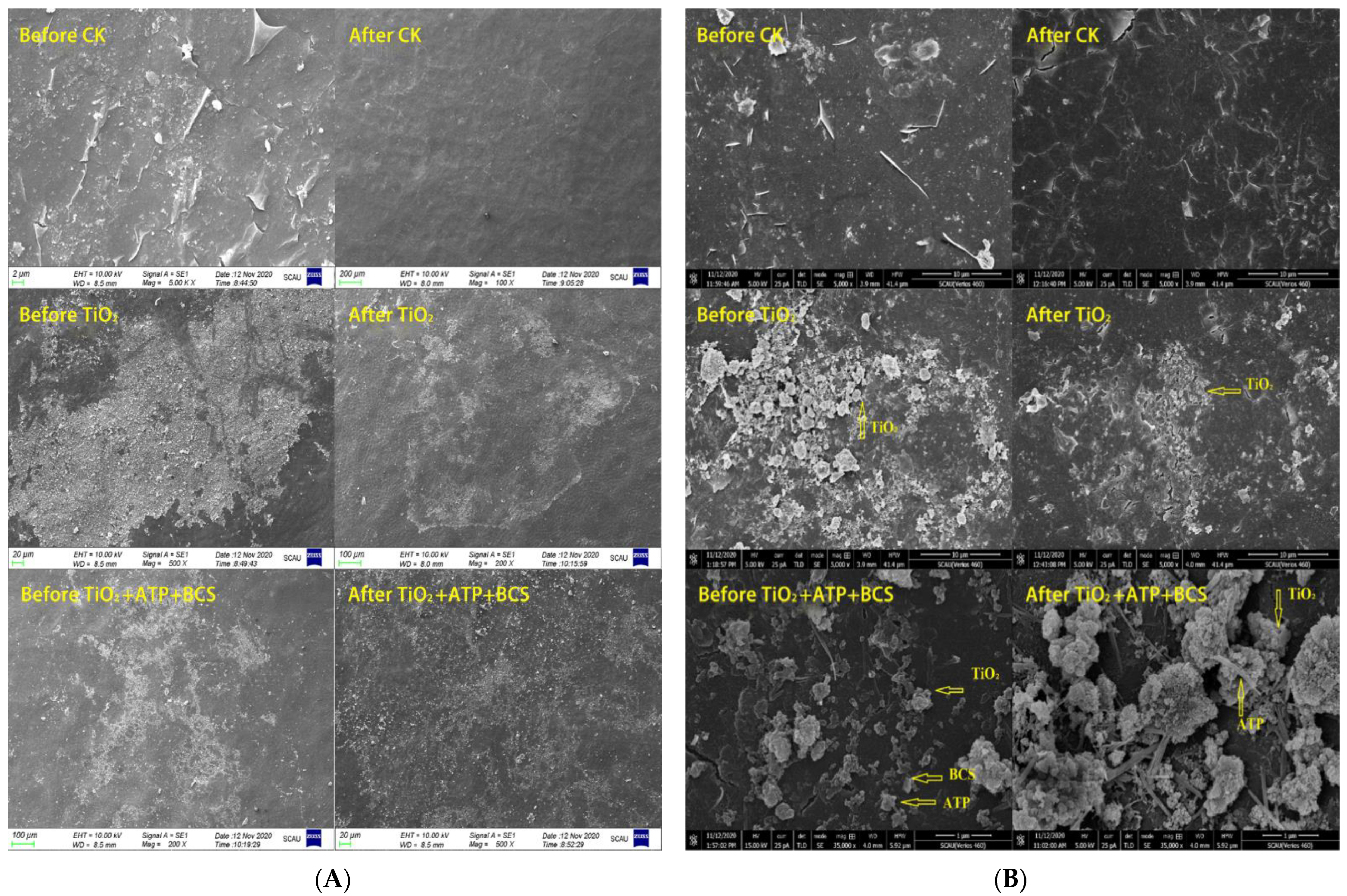 Nanomaterials 12 04287 g007
