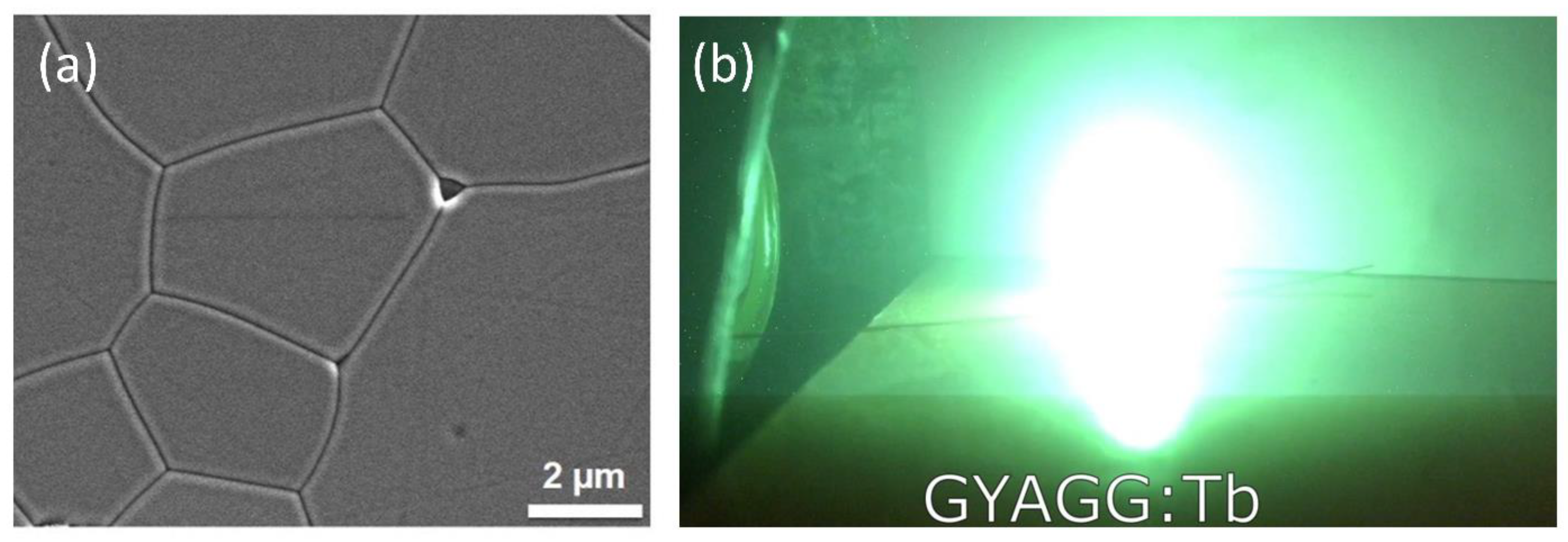 Nanomaterials 12 04295 g013 Nanomaterials 12 04295 g013