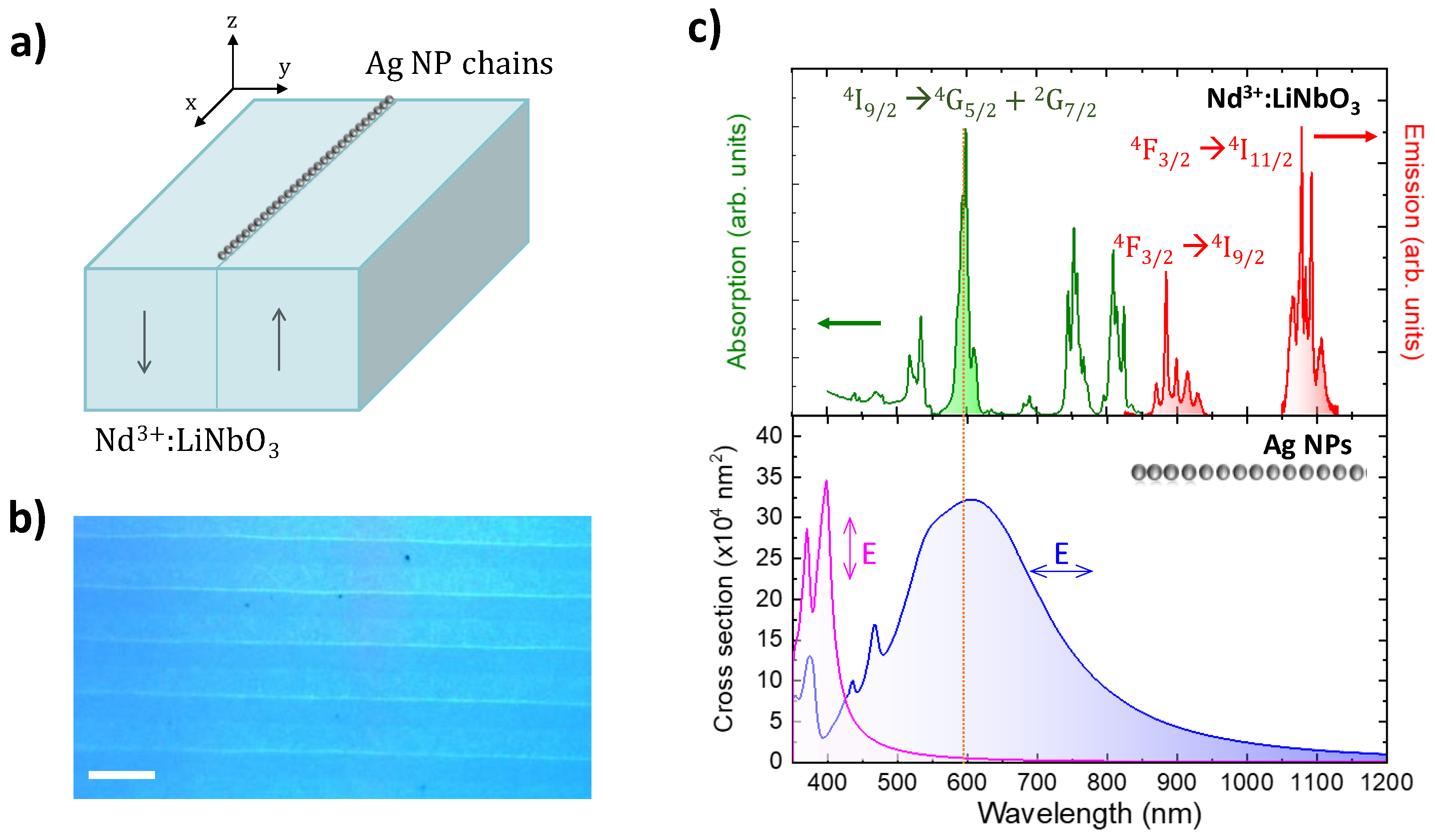 Nanomaterials 12 04296 g001 Nanomaterials 12 04296 g001