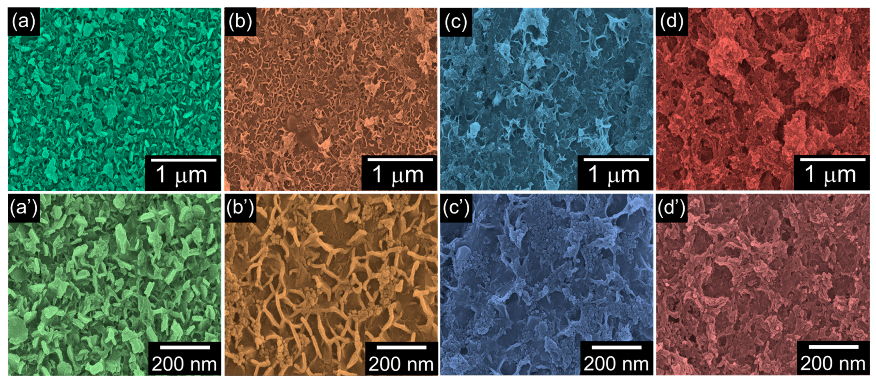 Nanomaterials 12 04302 g002 Nanomaterials 12 04302 g002