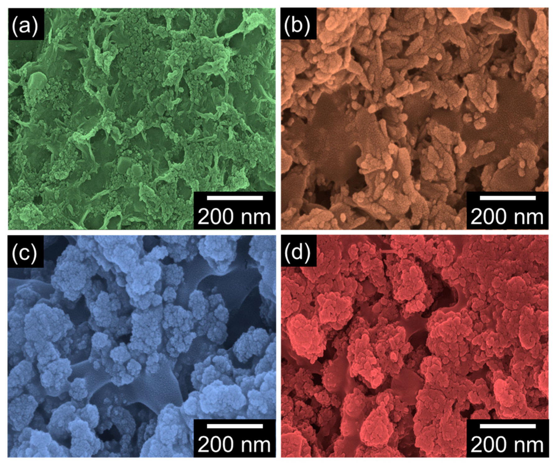 Nanomaterials 12 04302 g003 Nanomaterials 12 04302 g003