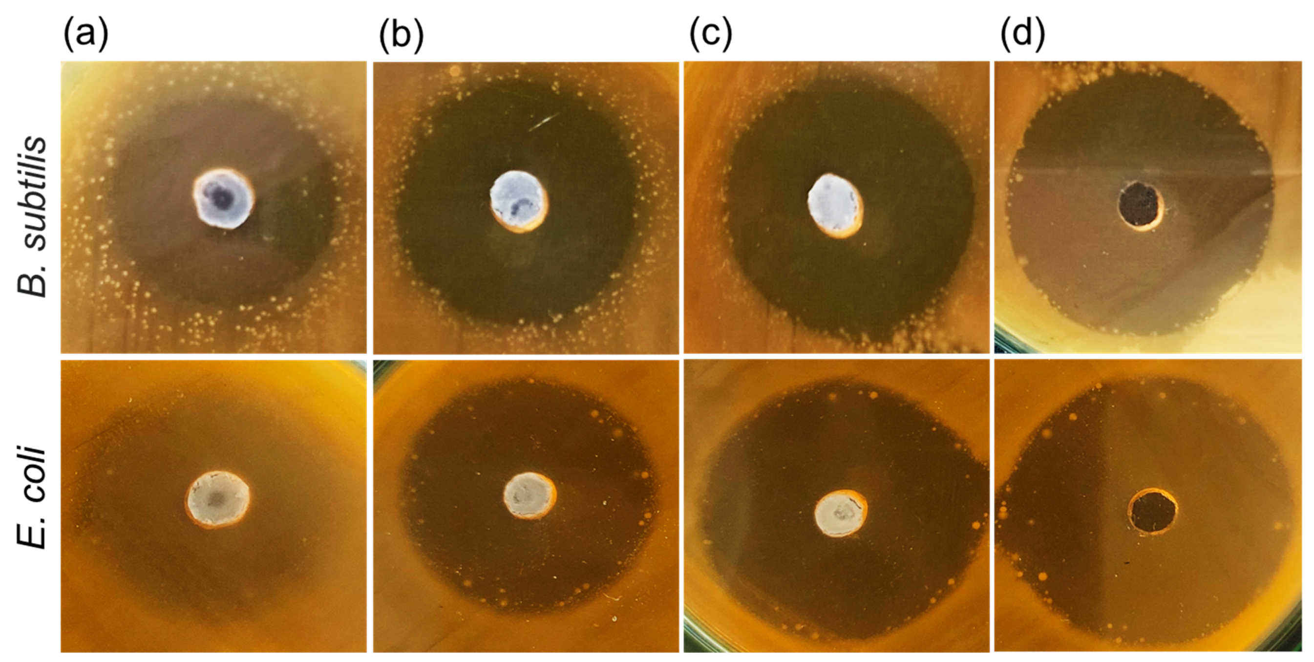 Nanomaterials 12 04302 g006 Nanomaterials 12 04302 g006
