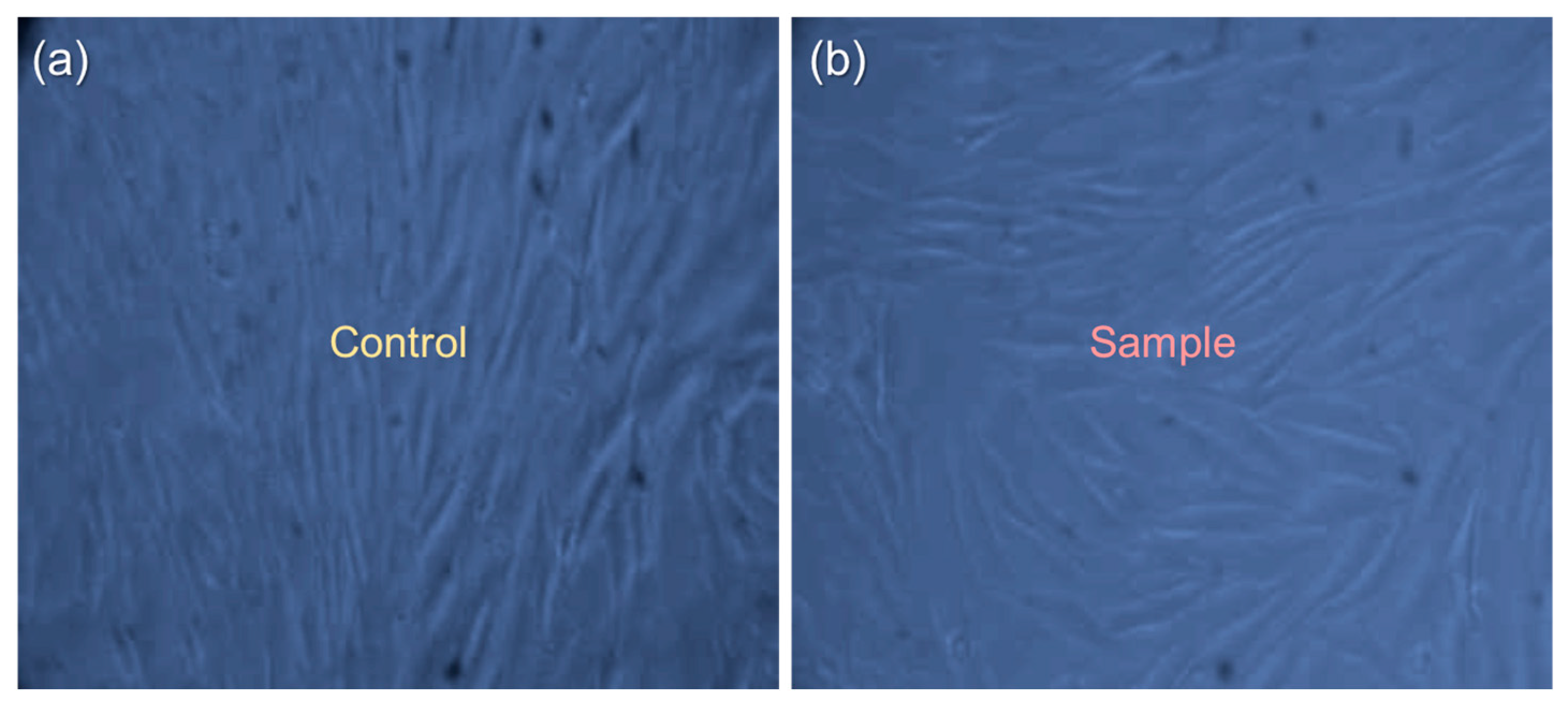 Nanomaterials 12 04302 g008 Nanomaterials 12 04302 g008