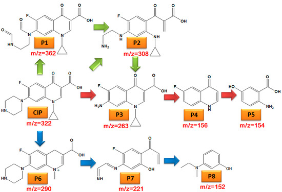 Synthesis of CuO/GO-DE Catalyst and Its Catalytic Properties