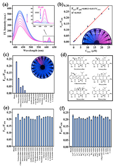 A Highly Sensitive and Selective Nano-Fluorescent Probe for