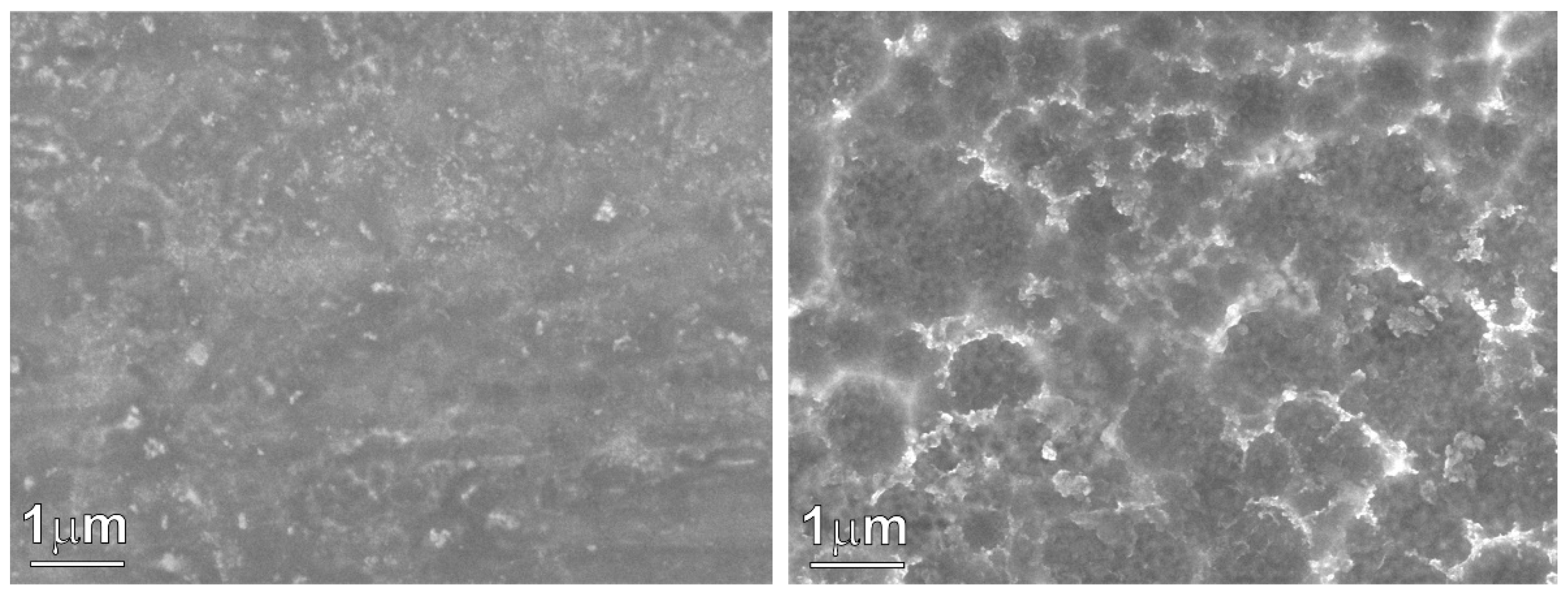 Nanomaterials 12 04310 g002 Nanomaterials 12 04310 g002