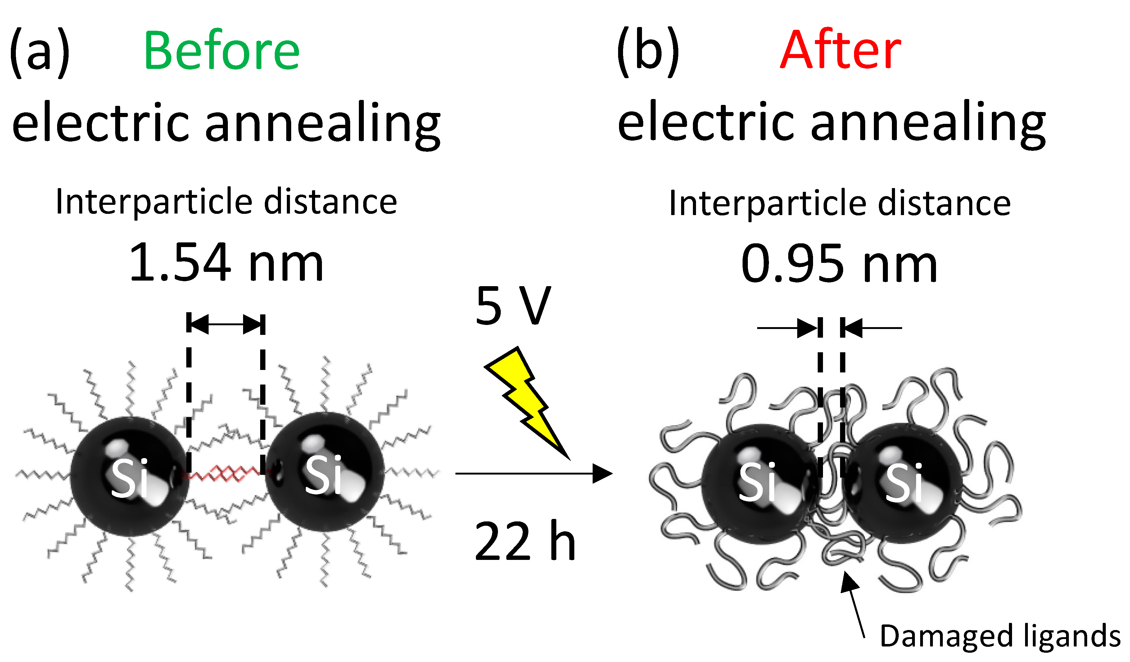 Nanomaterials 12 04314 g005 Nanomaterials 12 04314 g005