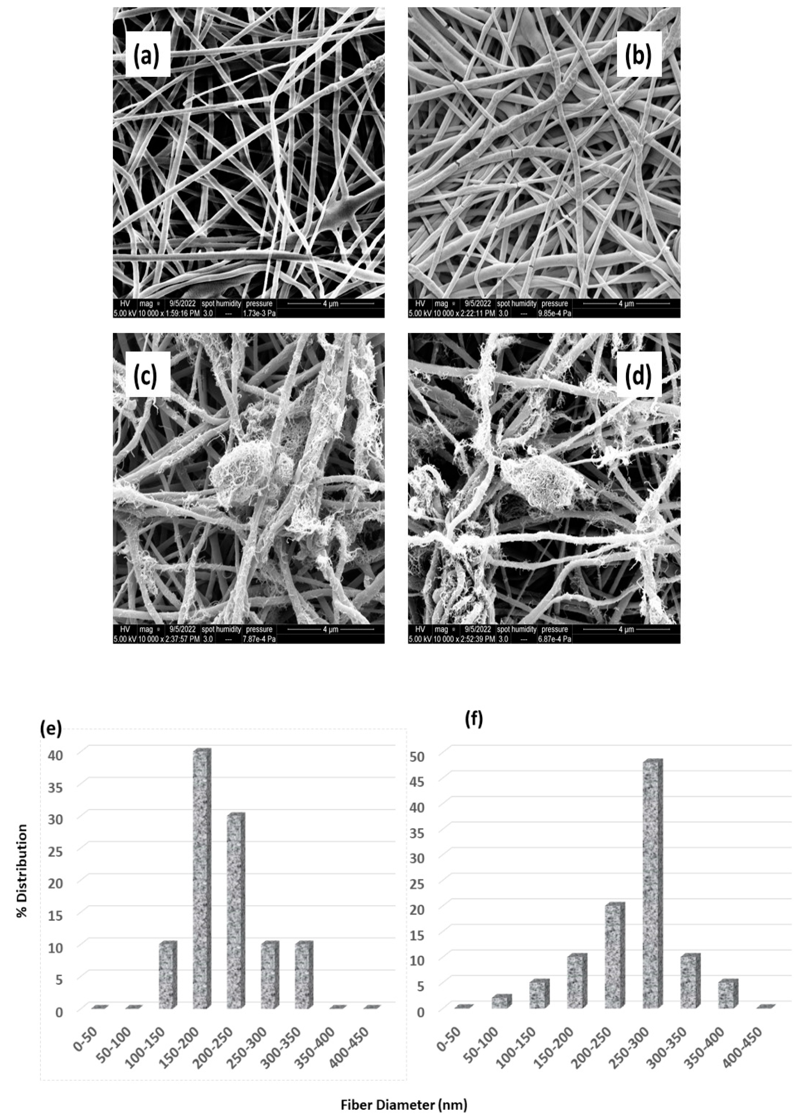 Nanomaterials 12 04331 g005 Nanomaterials 12 04331 g005