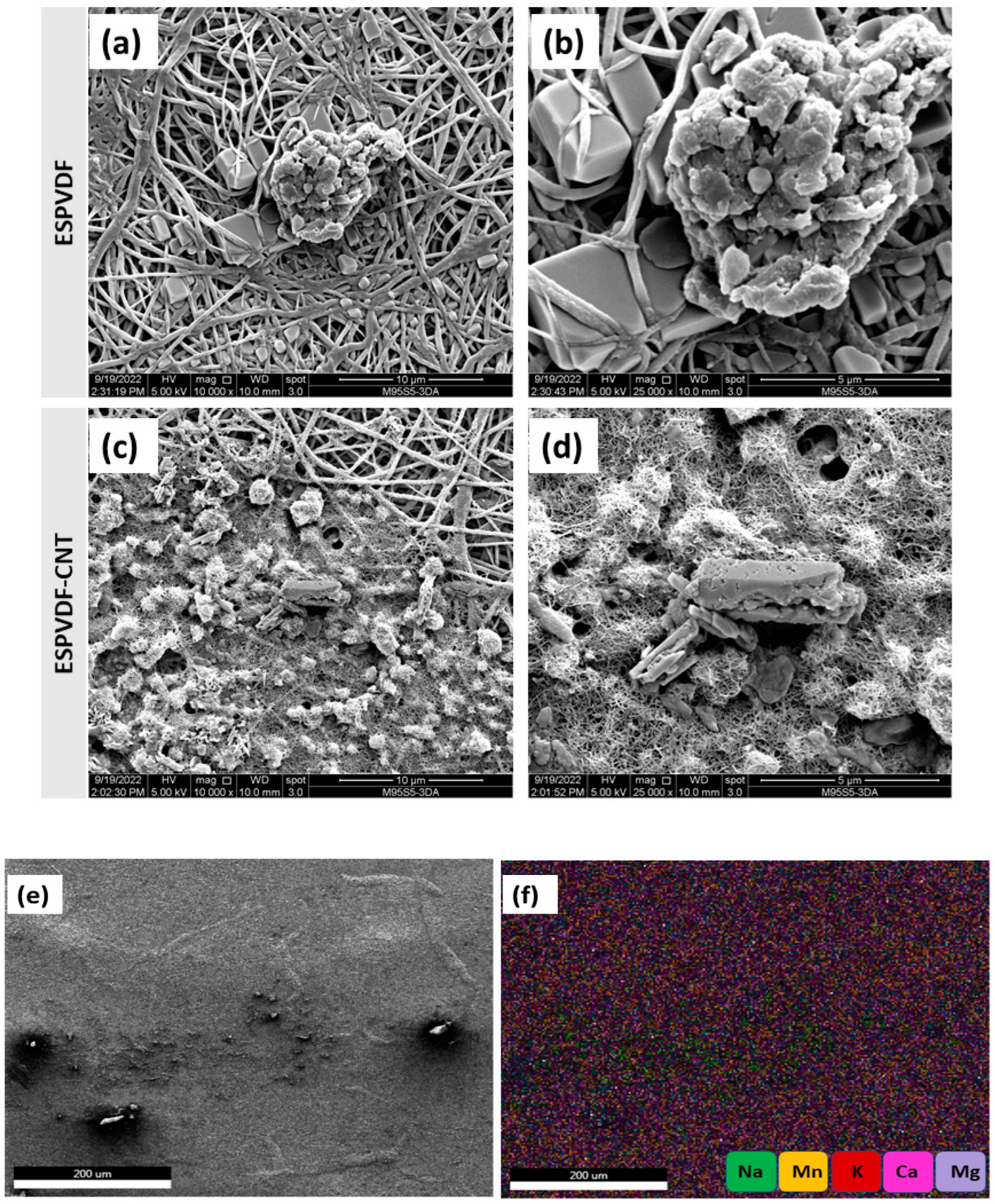 Nanomaterials 12 04331 g007 Nanomaterials 12 04331 g007