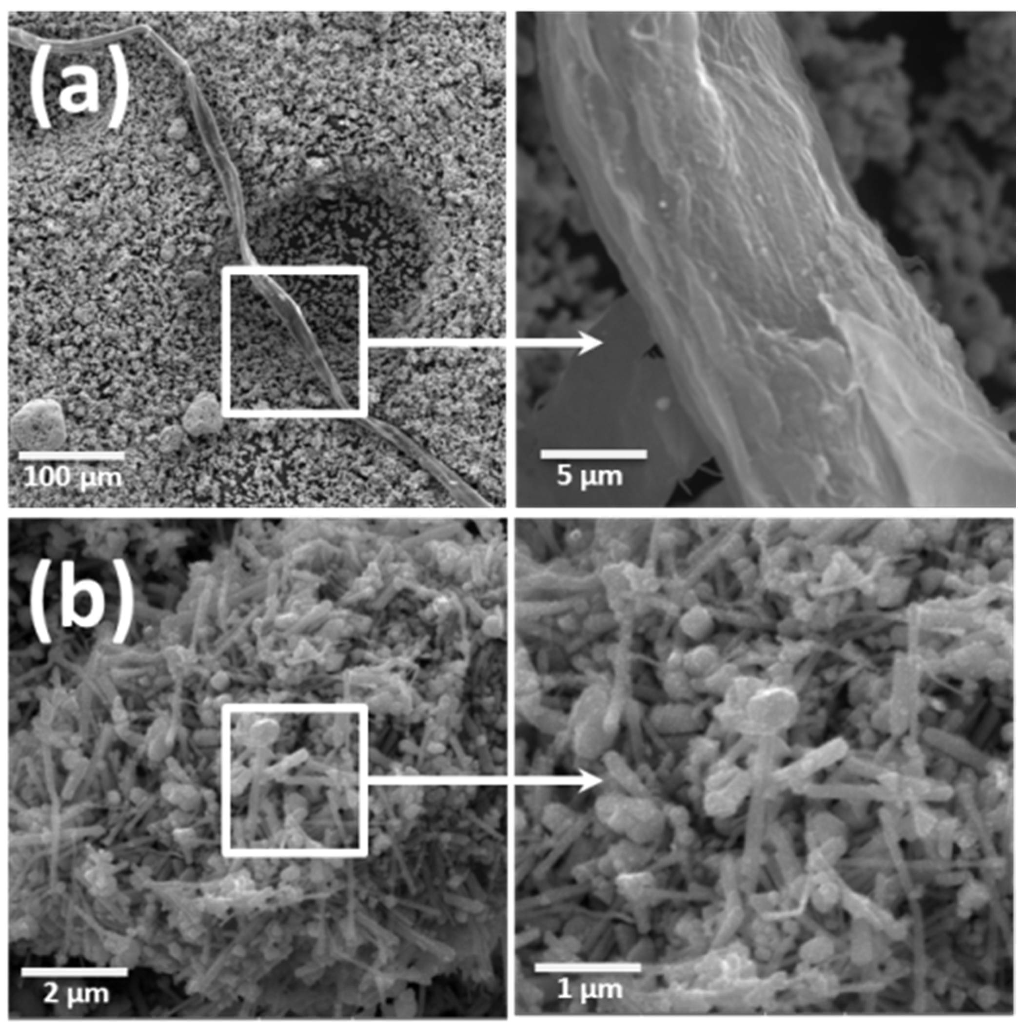 Nanomaterials 12 04333 g006