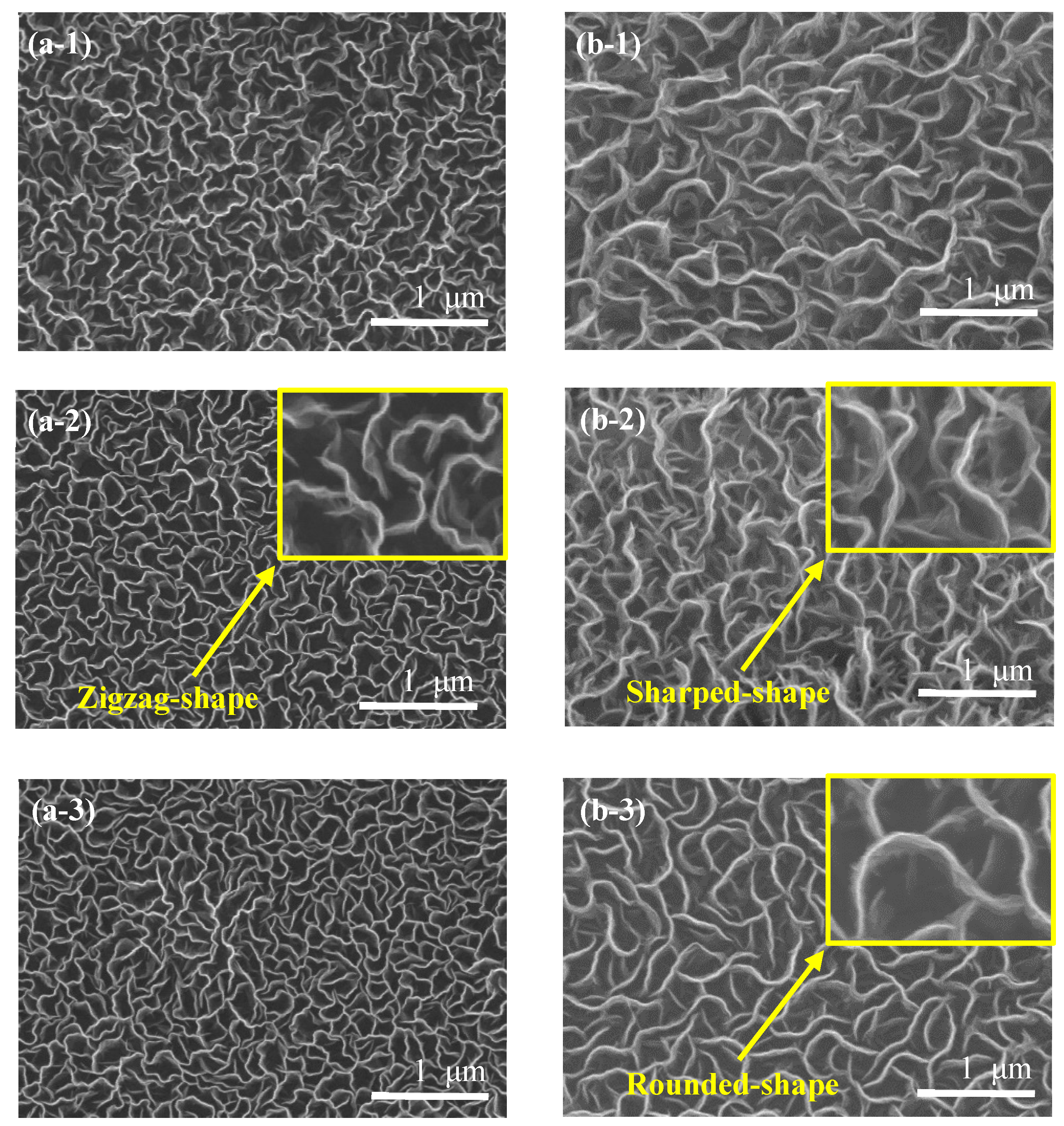 Nanomaterials 12 04334 g001