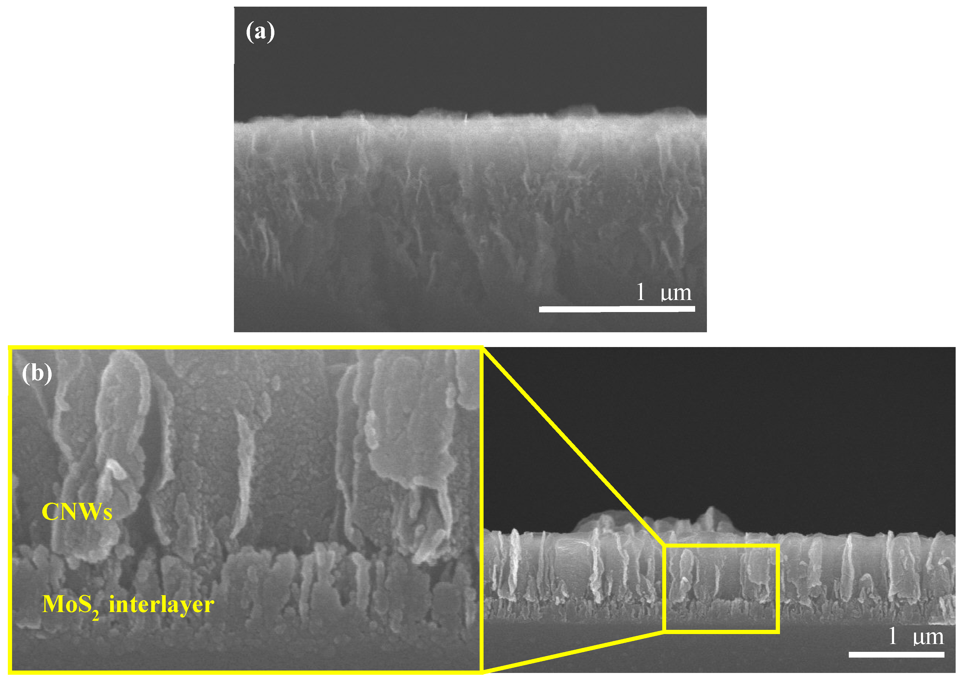 Nanomaterials 12 04334 g002