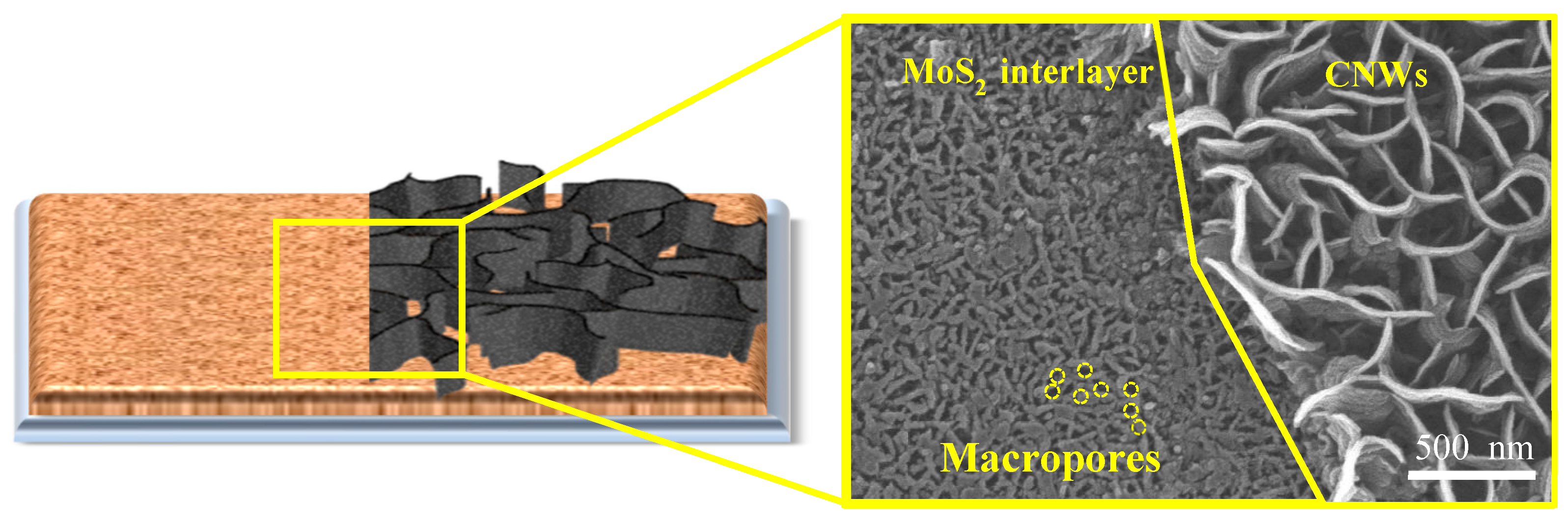 Nanomaterials 12 04334 g003