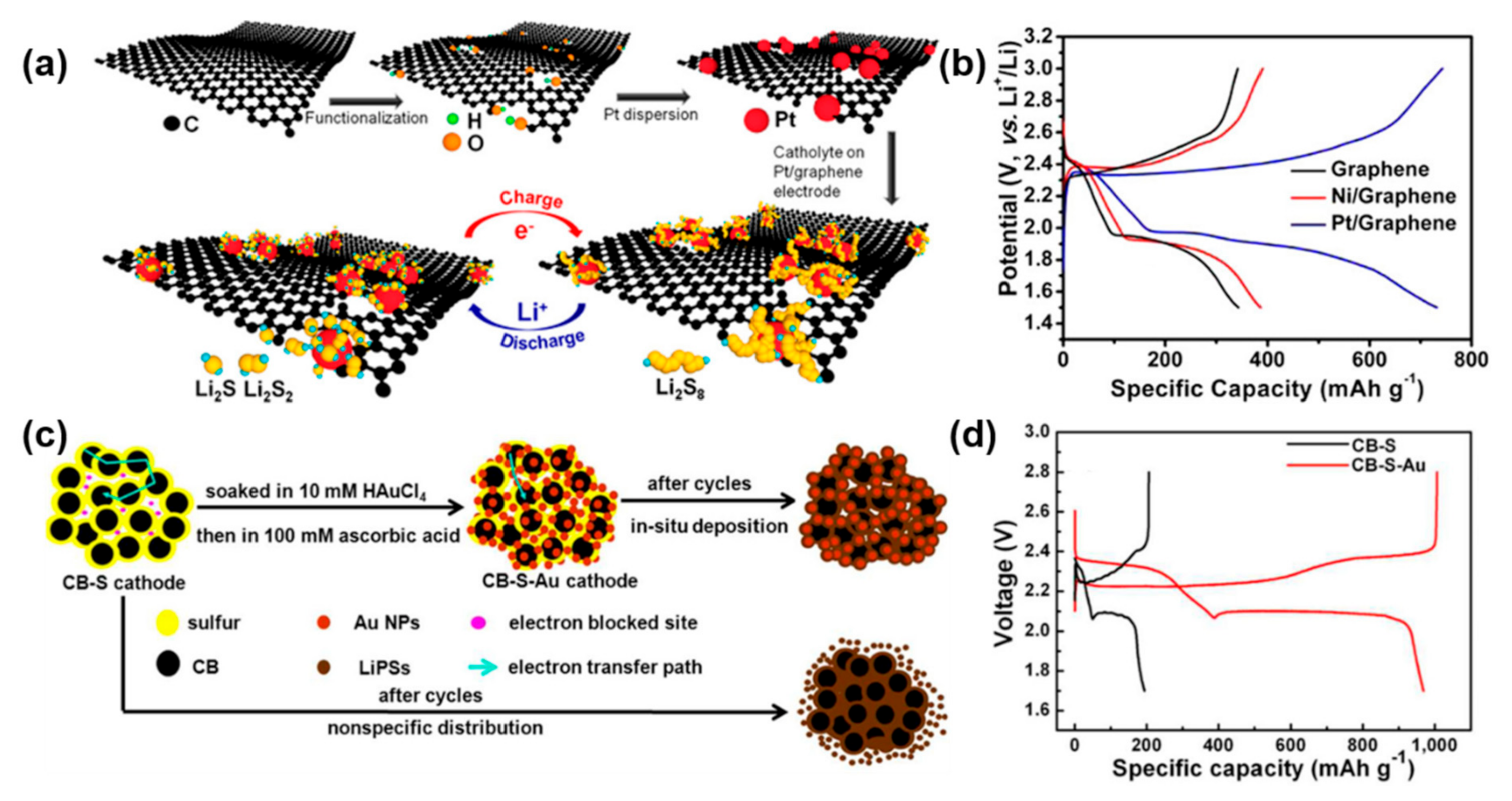Nanomaterials 12 04341 g003 Nanomaterials 12 04341 g003