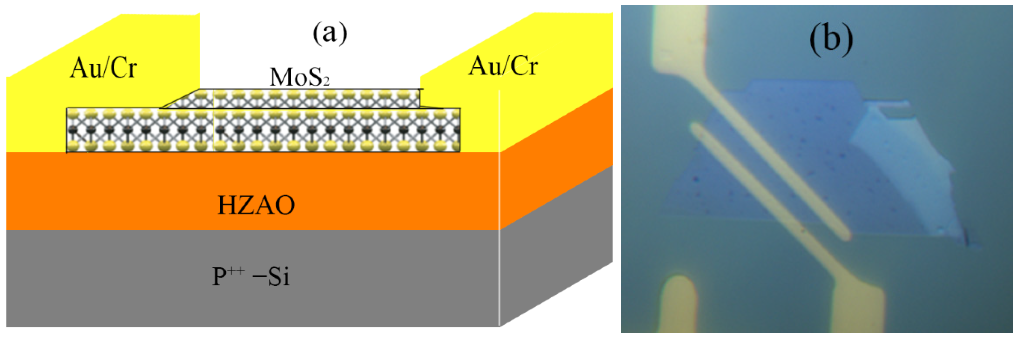 Nanomaterials 12 04352 g001