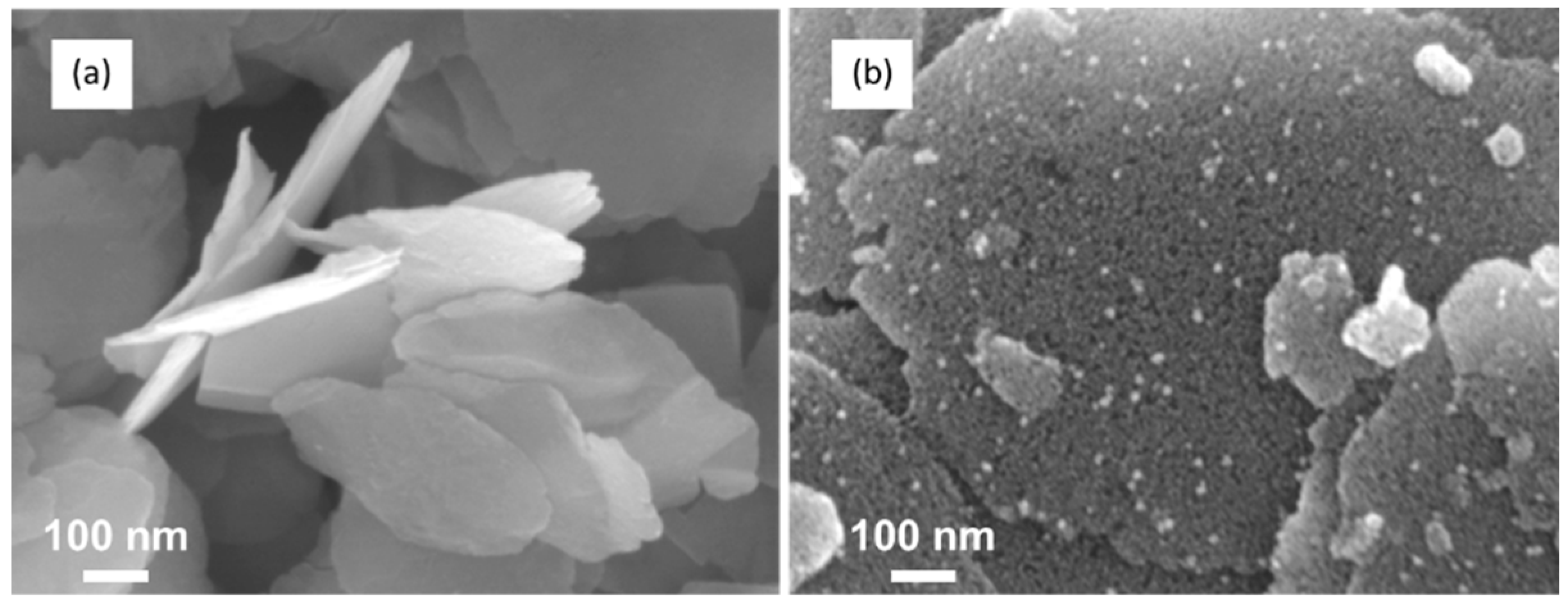 Nanomaterials 12 04360 g009