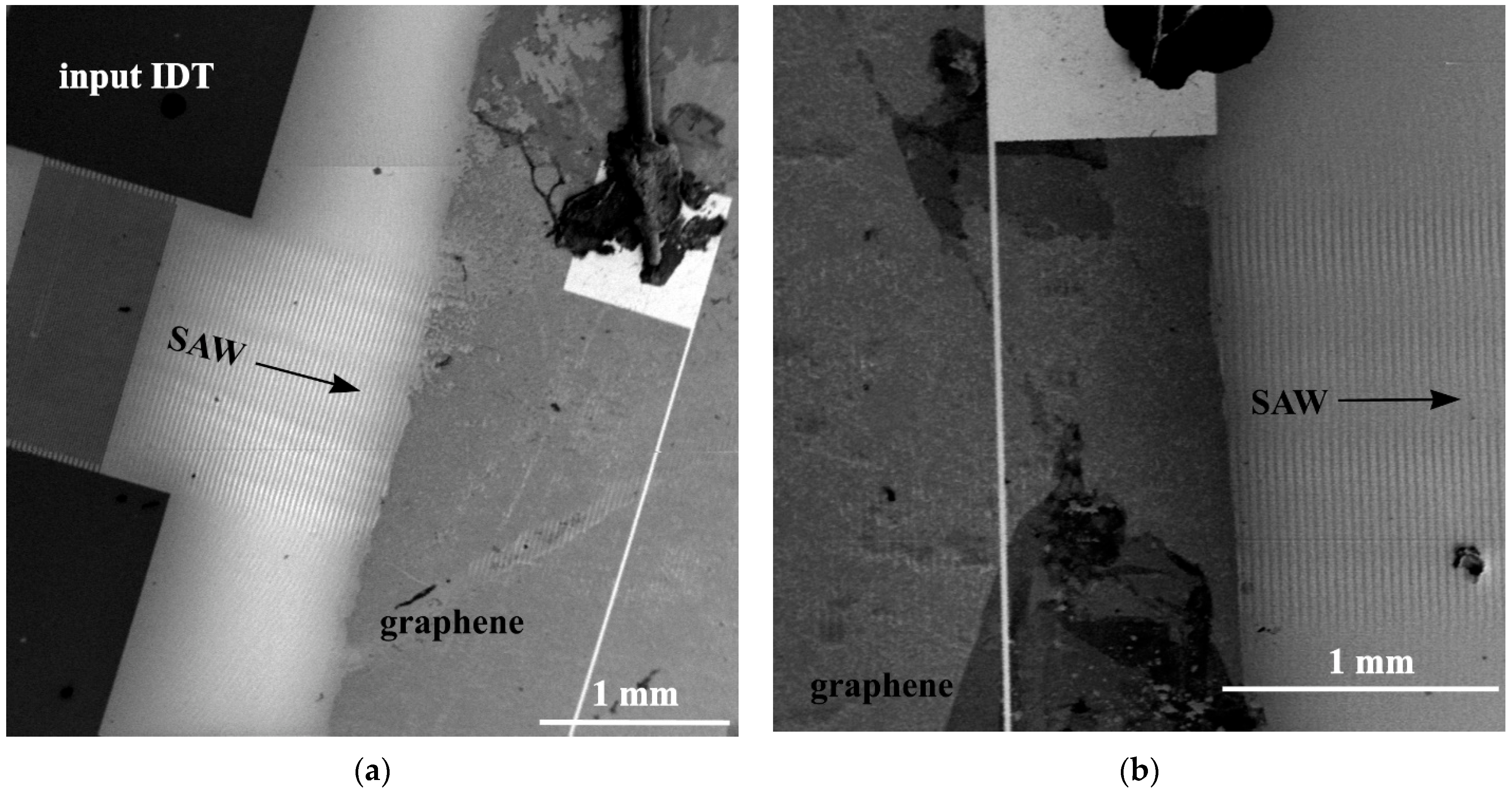 Nanomaterials 12 04370 g004 Nanomaterials 12 04370 g004