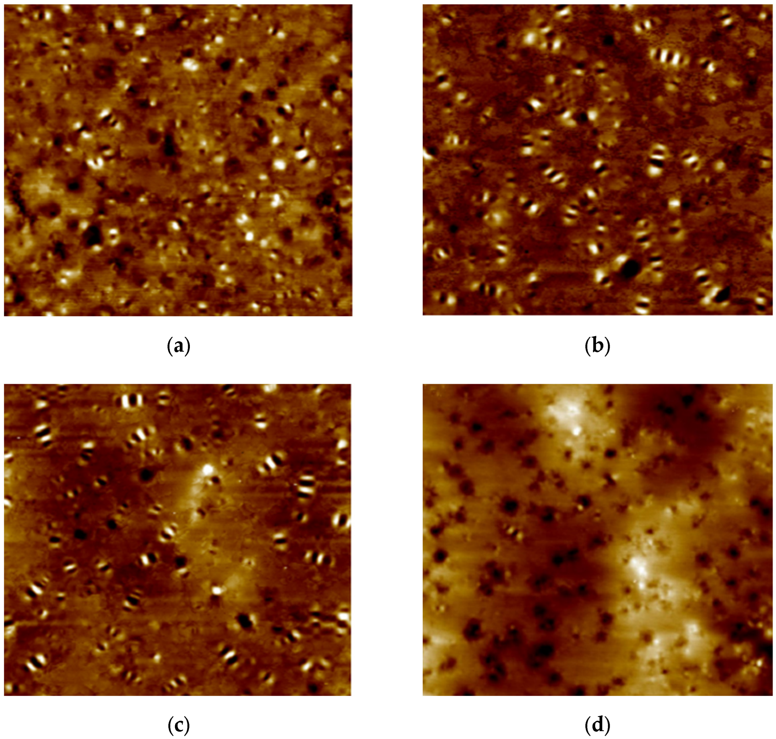 Nanomaterials 12 04388 g004