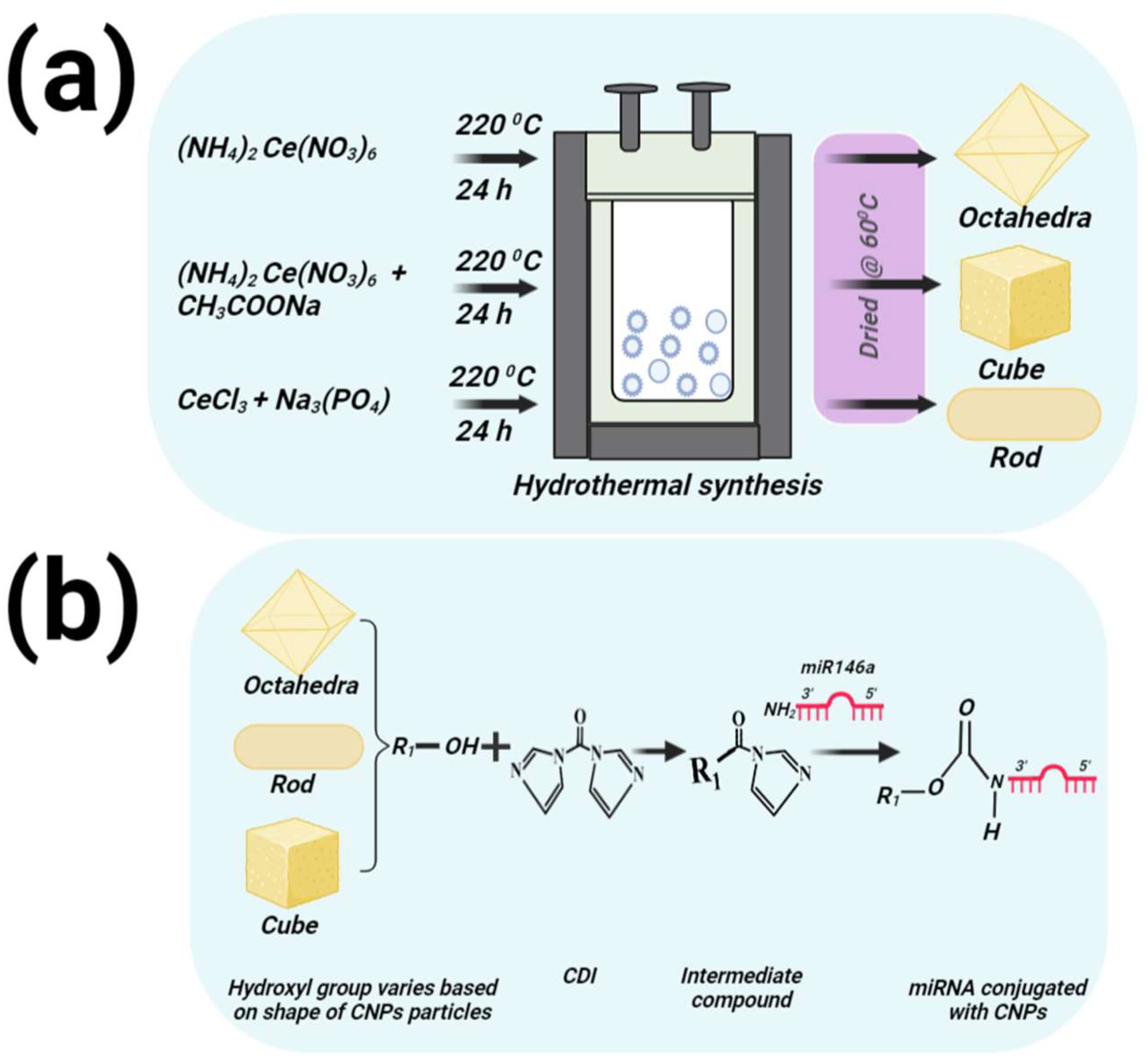 Nanomaterials 12 04389 g001 Nanomaterials 12 04389 g001