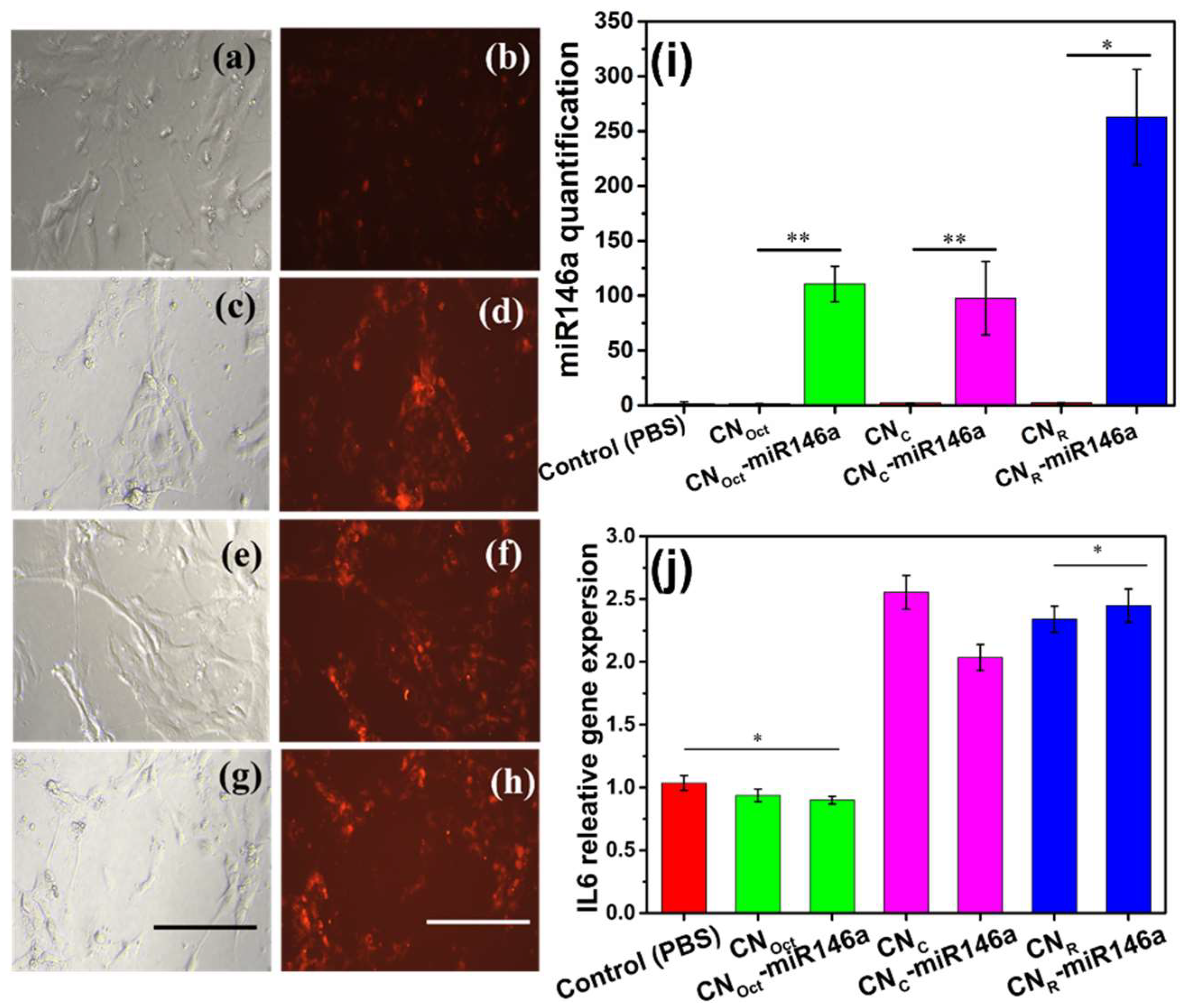 Nanomaterials 12 04389 g006 Nanomaterials 12 04389 g006