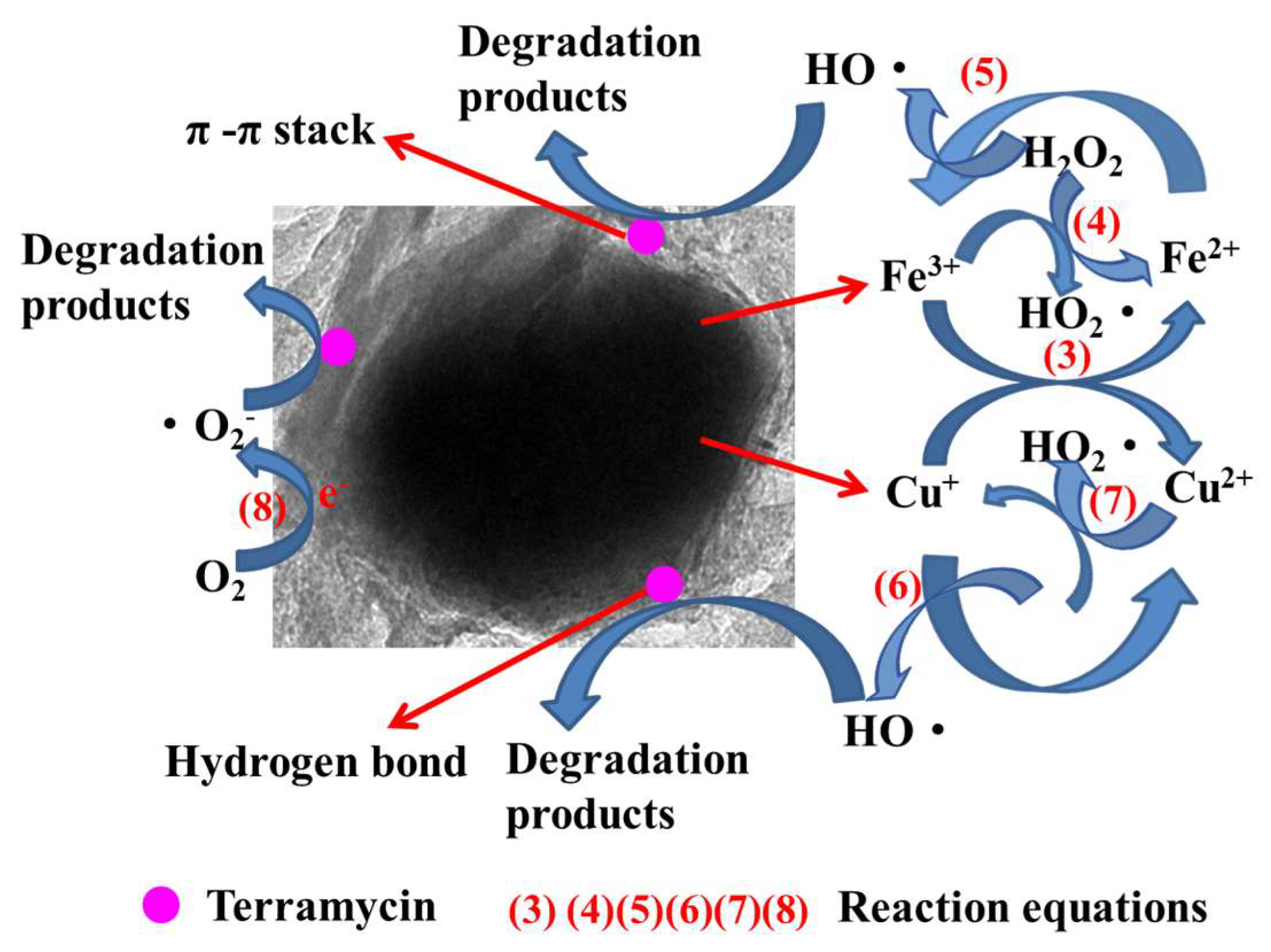 Nanomaterials 12 04391 g008
